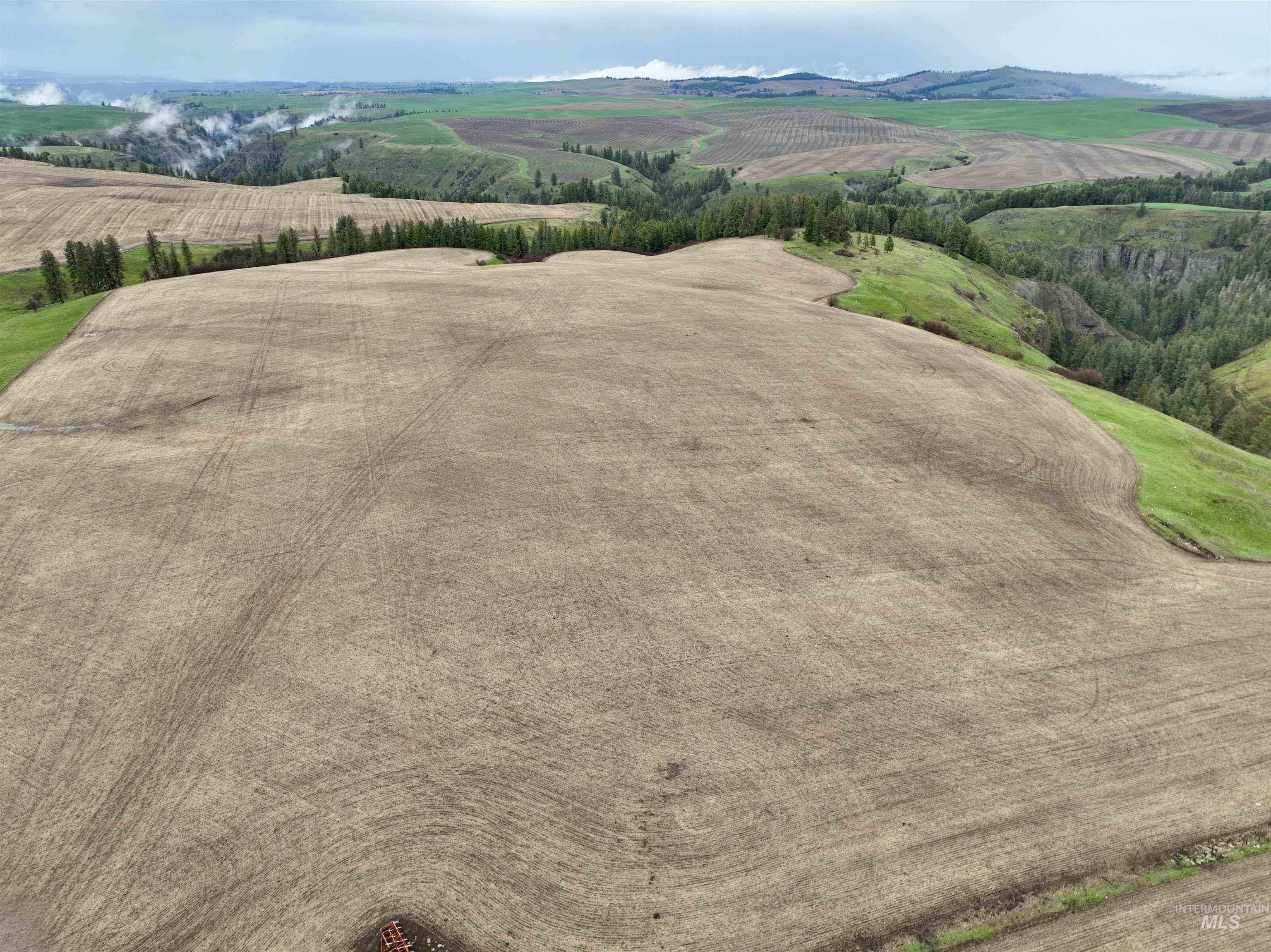 TBD Central Ridge Rd & Younger Rd, Craigmont, Idaho 83523, Farm & Ranch For Sale, Price $640,000, 98982209