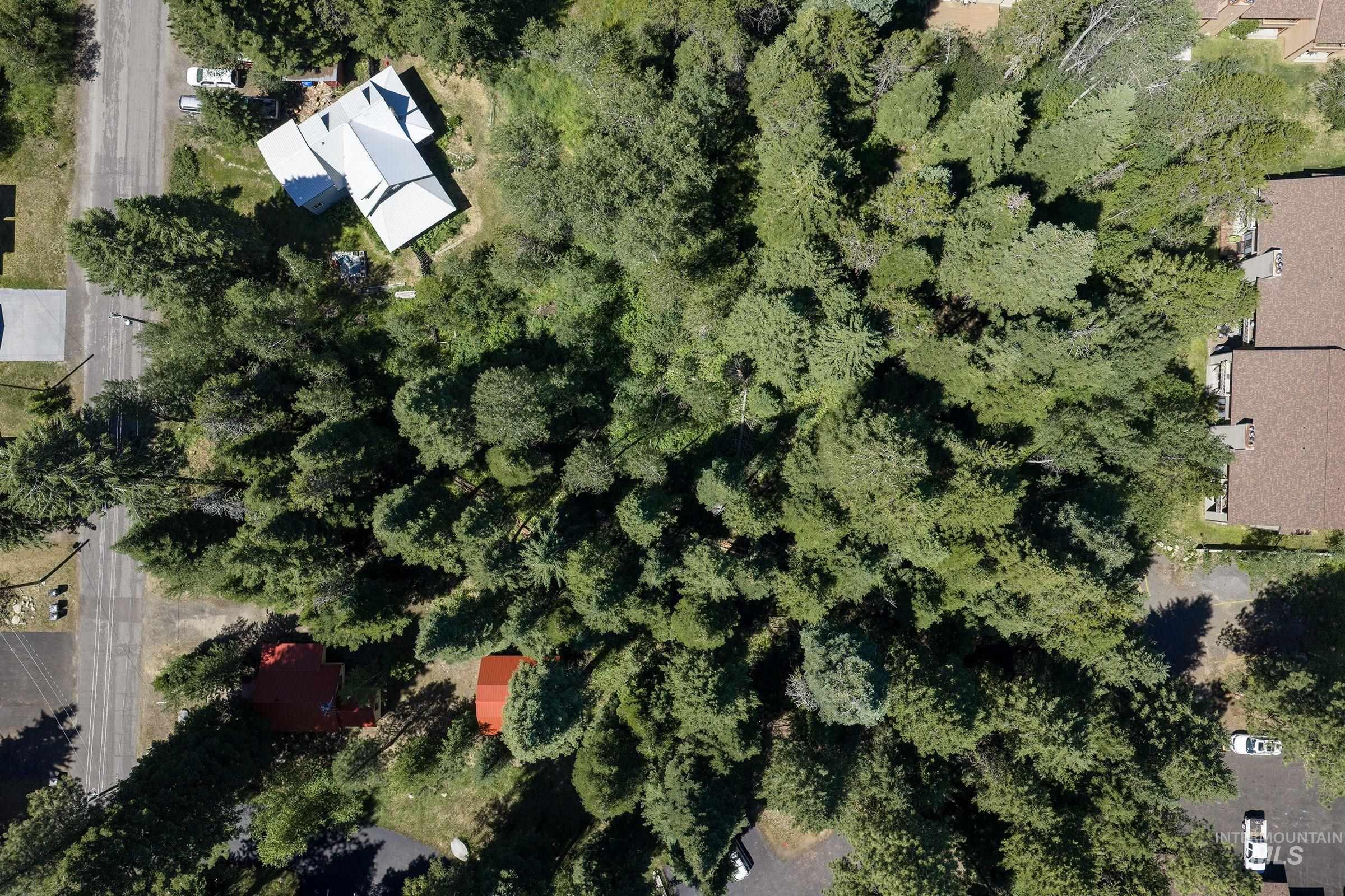 815 Reedy Ln, McCall, Idaho 83638, 2 Bedrooms, 1 Bathroom, Residential For Sale, Price $575,000,MLS 98982238