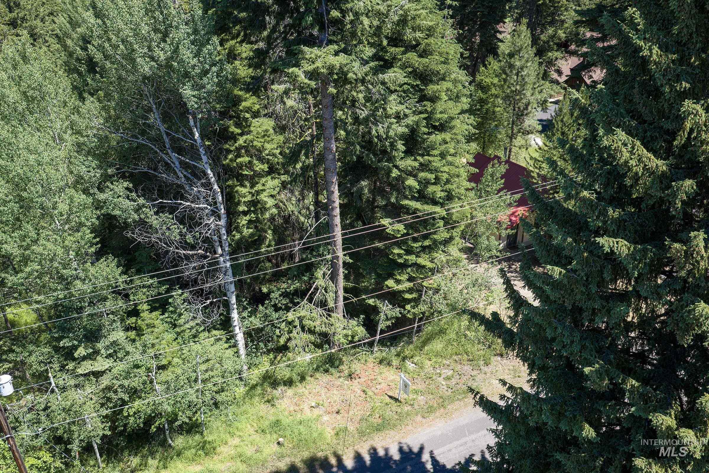 813 Reedy Ln, McCall, Idaho 83638, Land For Sale, Price $400,000,MLS 98982241