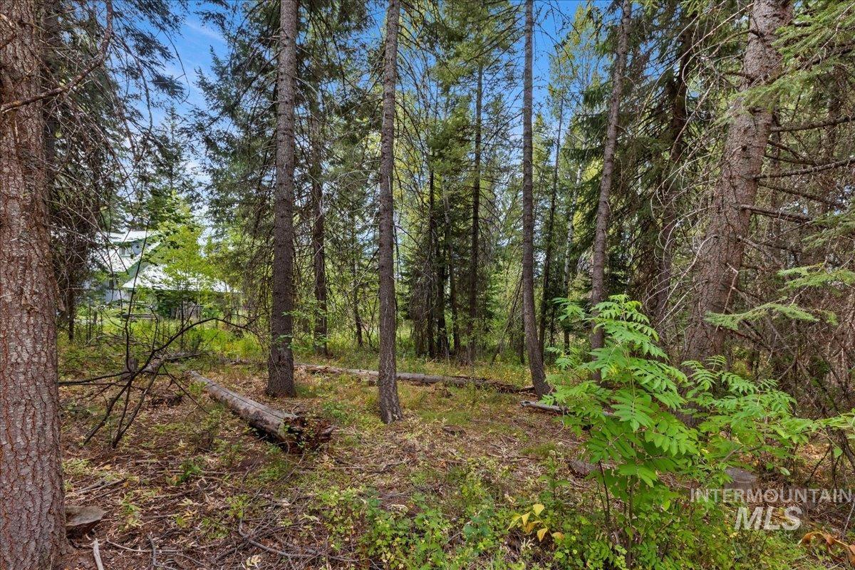 813 Reedy Ln, McCall, Idaho 83638, Land For Sale, Price $400,000,MLS 98982241