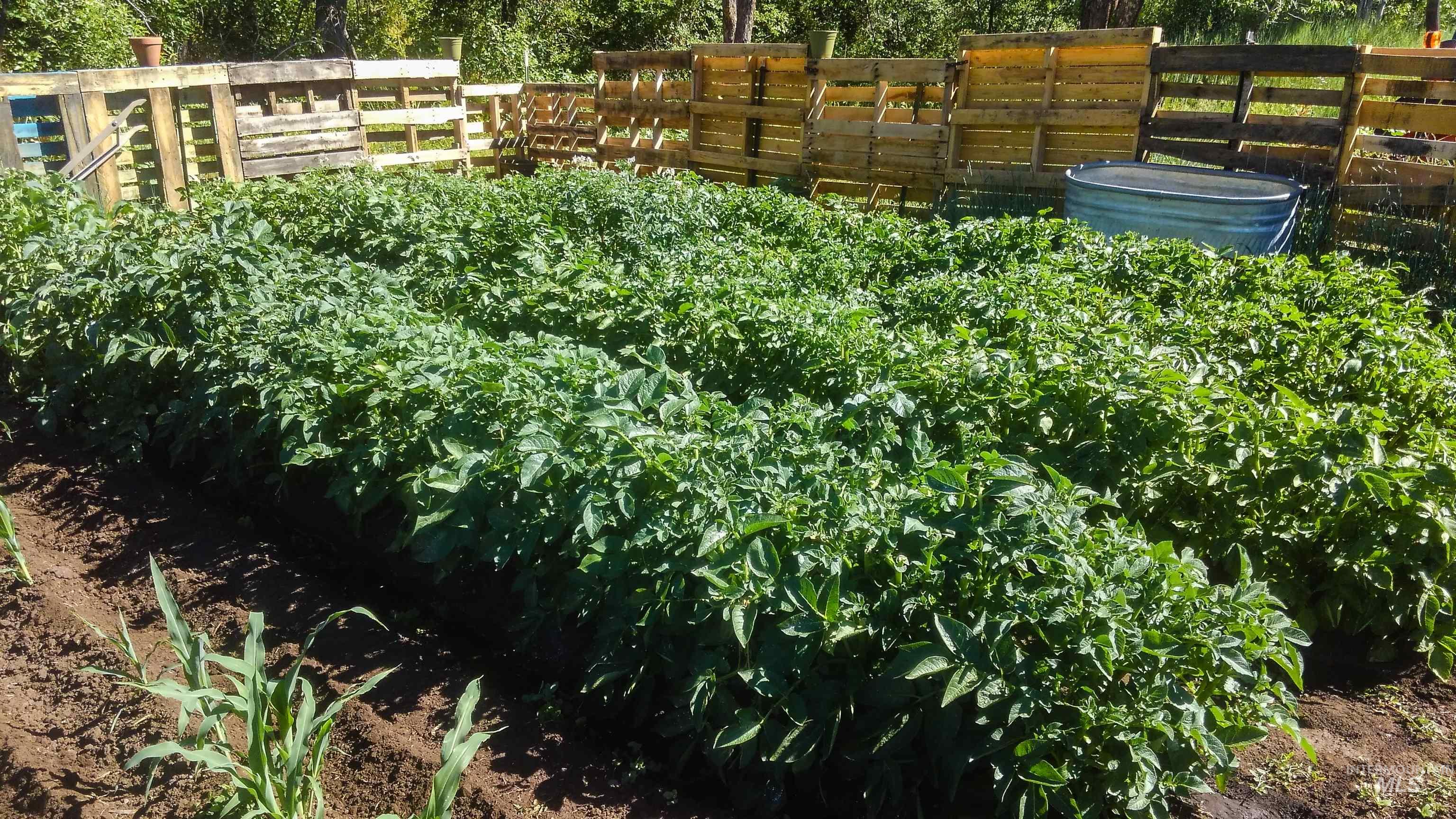 2060 Missman Road, Council, Idaho 83612, 4 Bedrooms, 3 Bathrooms, Residential For Sale, Price $715,000,MLS 98982286