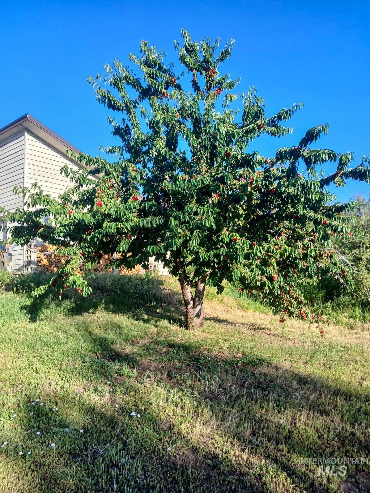 2060 Missman Road, Council, Idaho 83612, 4 Bedrooms, 3 Bathrooms, Residential For Sale, Price $715,000,MLS 98982286