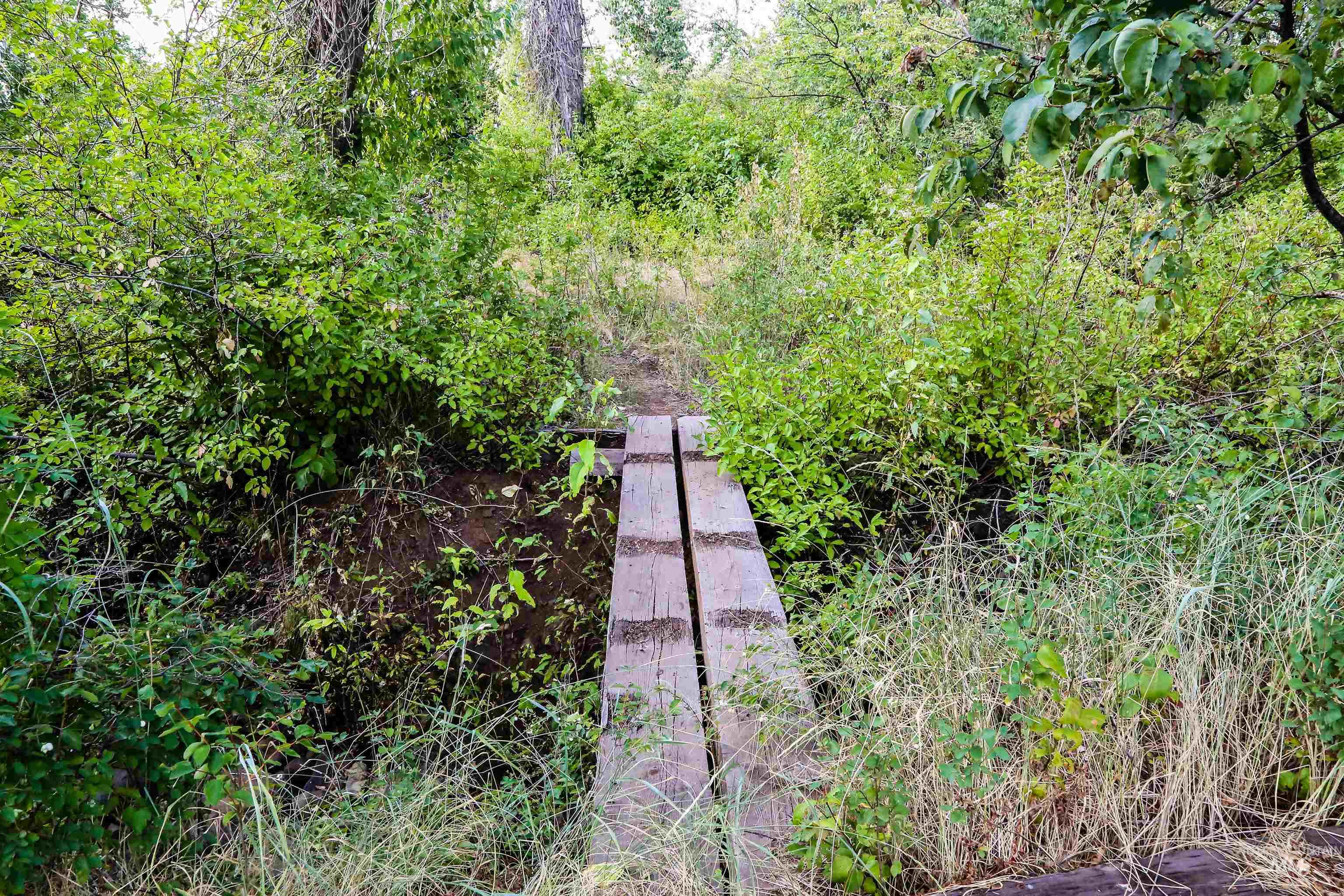 2060 Missman Road, Council, Idaho 83612, 4 Bedrooms, 3 Bathrooms, Residential For Sale, Price $715,000,MLS 98982286