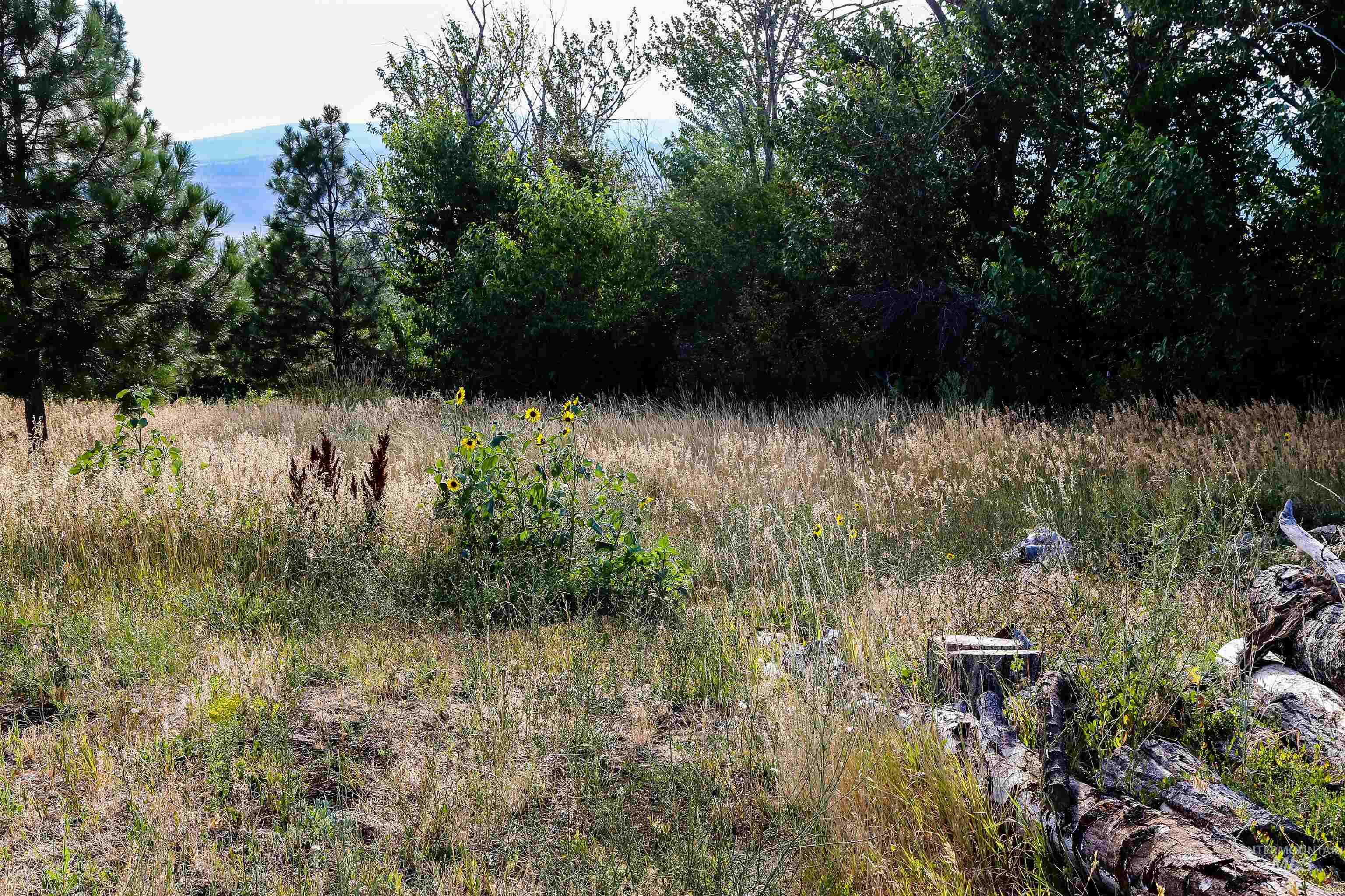 2060 Missman Road, Council, Idaho 83612, 4 Bedrooms, 3 Bathrooms, Residential For Sale, Price $715,000,MLS 98982286