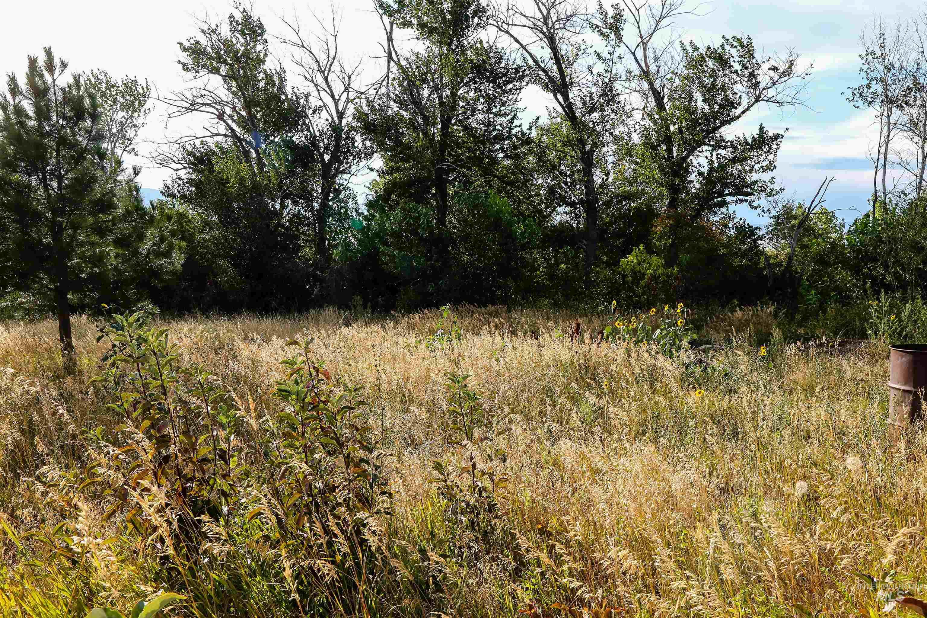 2060 Missman Road, Council, Idaho 83612, 4 Bedrooms, 3 Bathrooms, Residential For Sale, Price $715,000,MLS 98982286