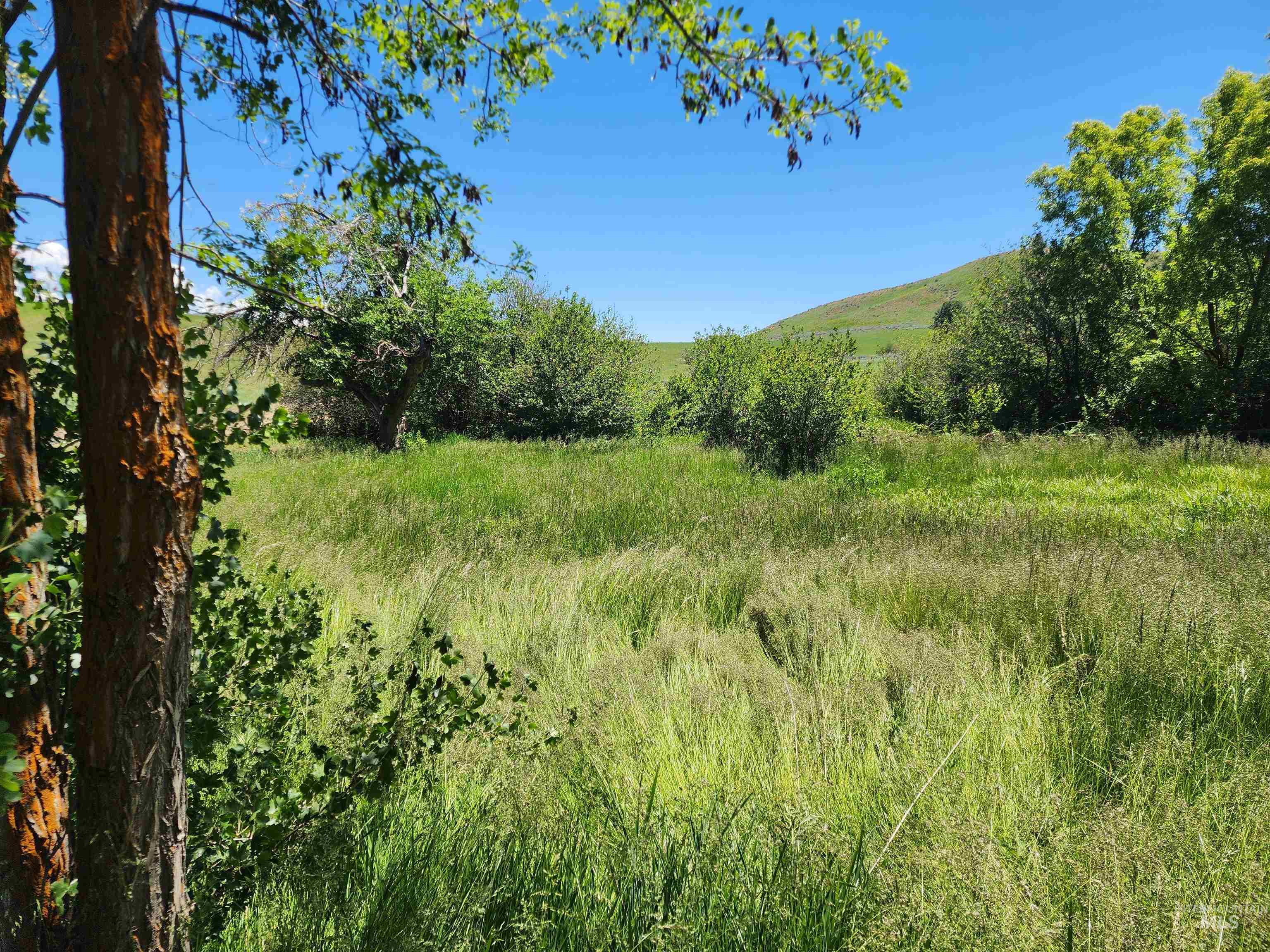 TBD Crank Creek, Mountain Home, Idaho 83647, Land For Sale, Price $1,450,000, 98982348