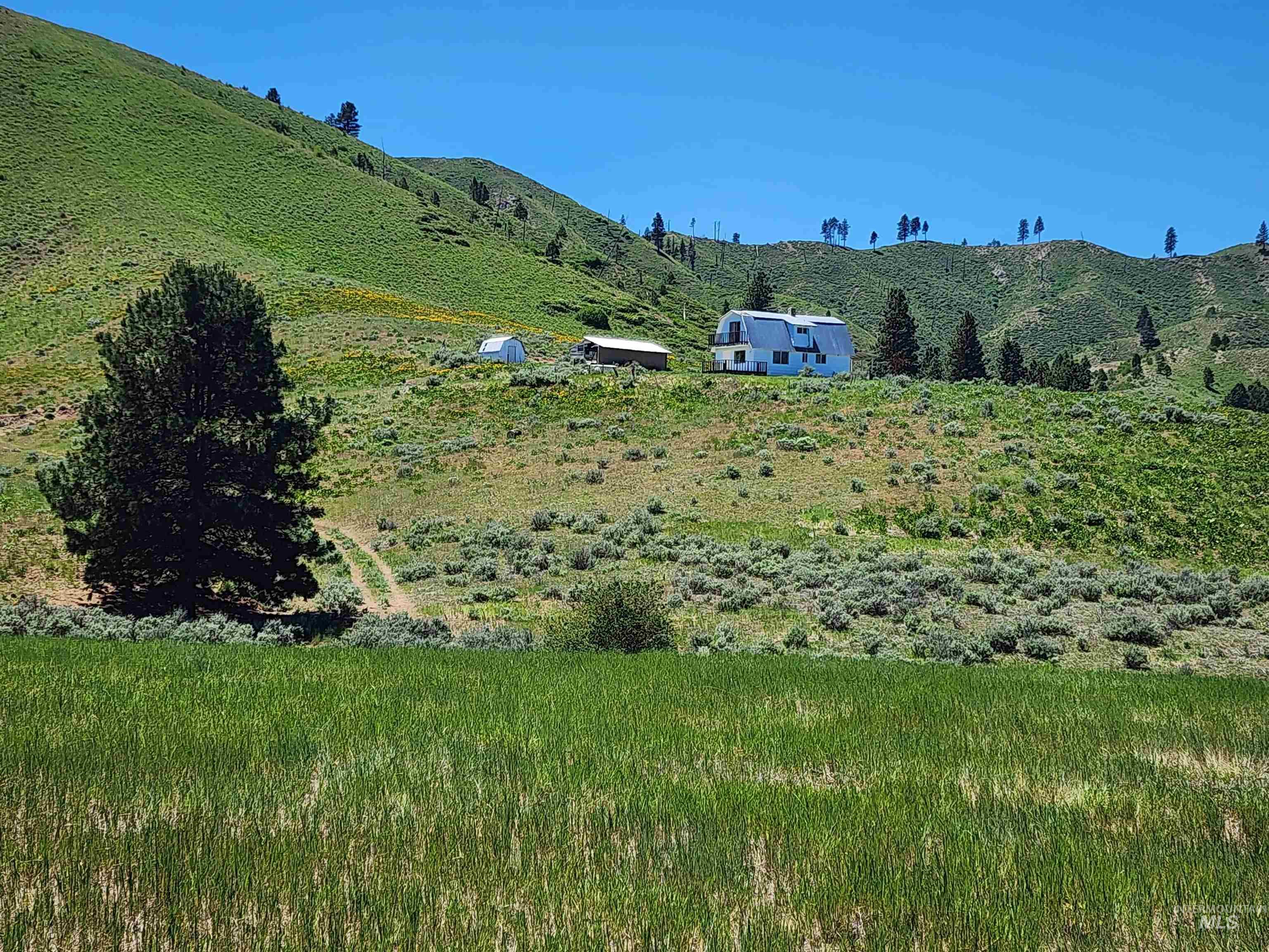 TBD Crank Creek, Mountain Home, Idaho 83647, Land For Sale, Price $1,450,000, 98982348
