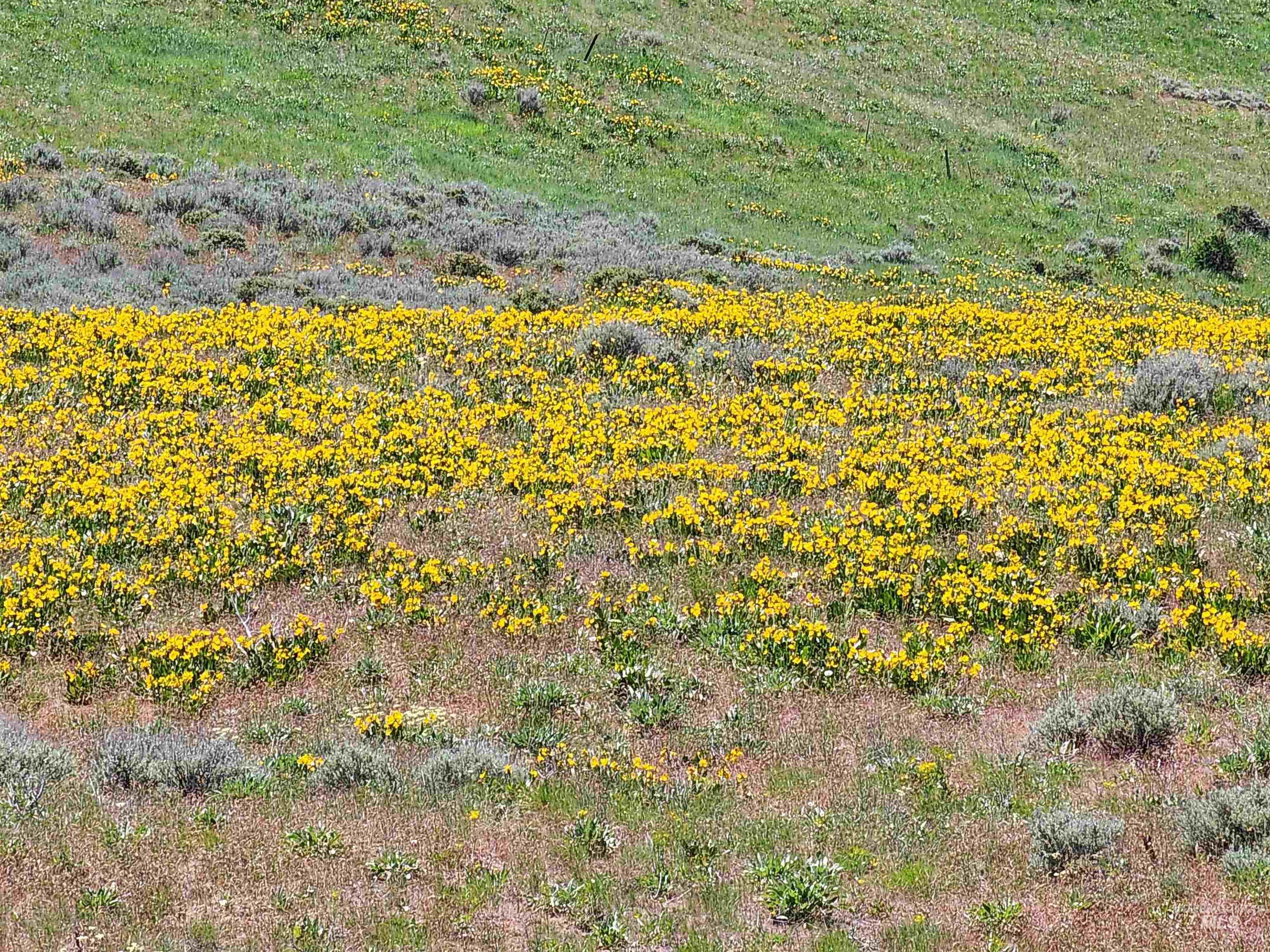 TBD Crank Creek, Mountain Home, Idaho 83647, Land For Sale, Price $1,450,000, 98982348