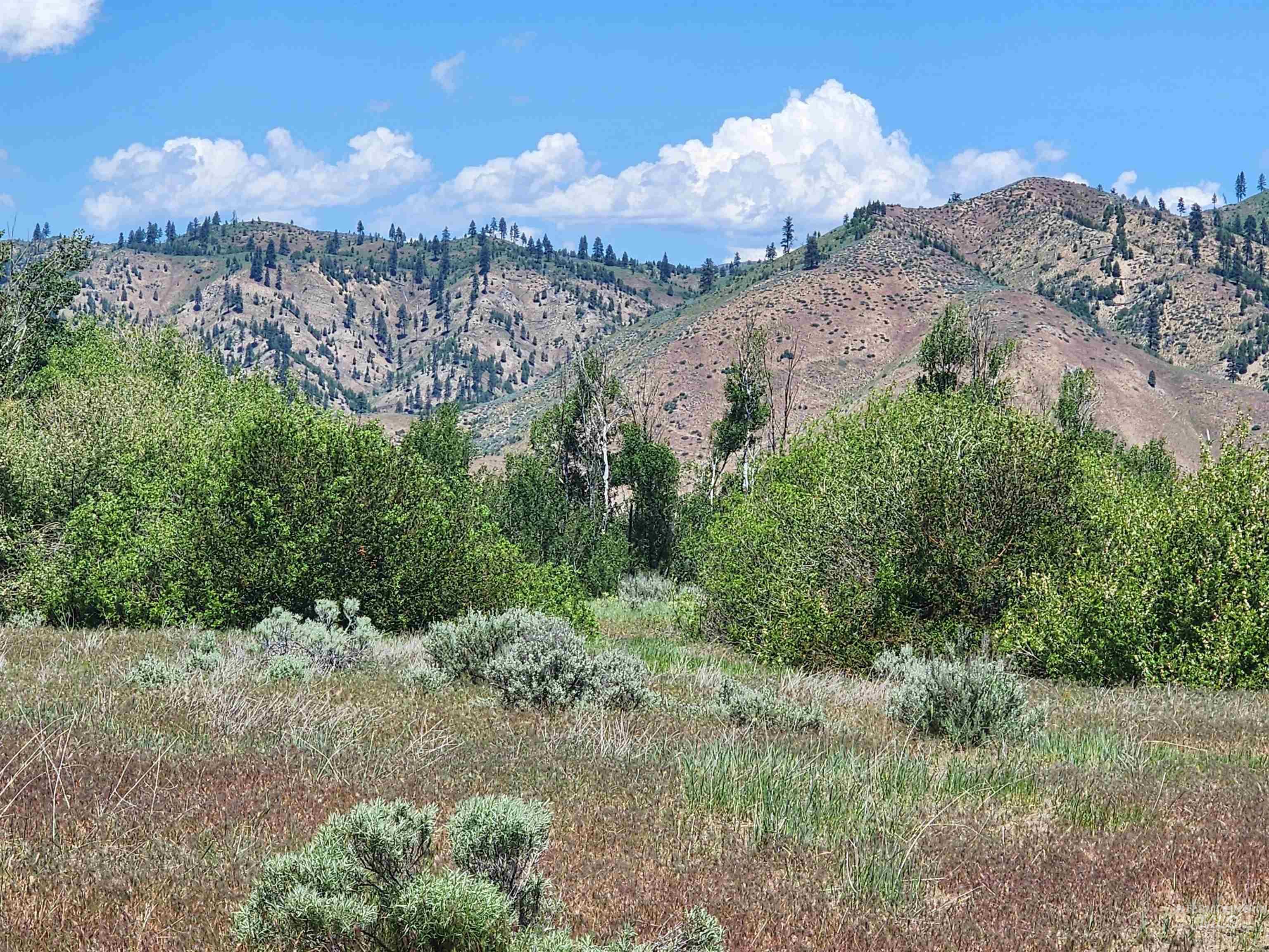 TBD Crank Creek, Mountain Home, Idaho 83647, Land For Sale, Price $1,450,000, 98982348
