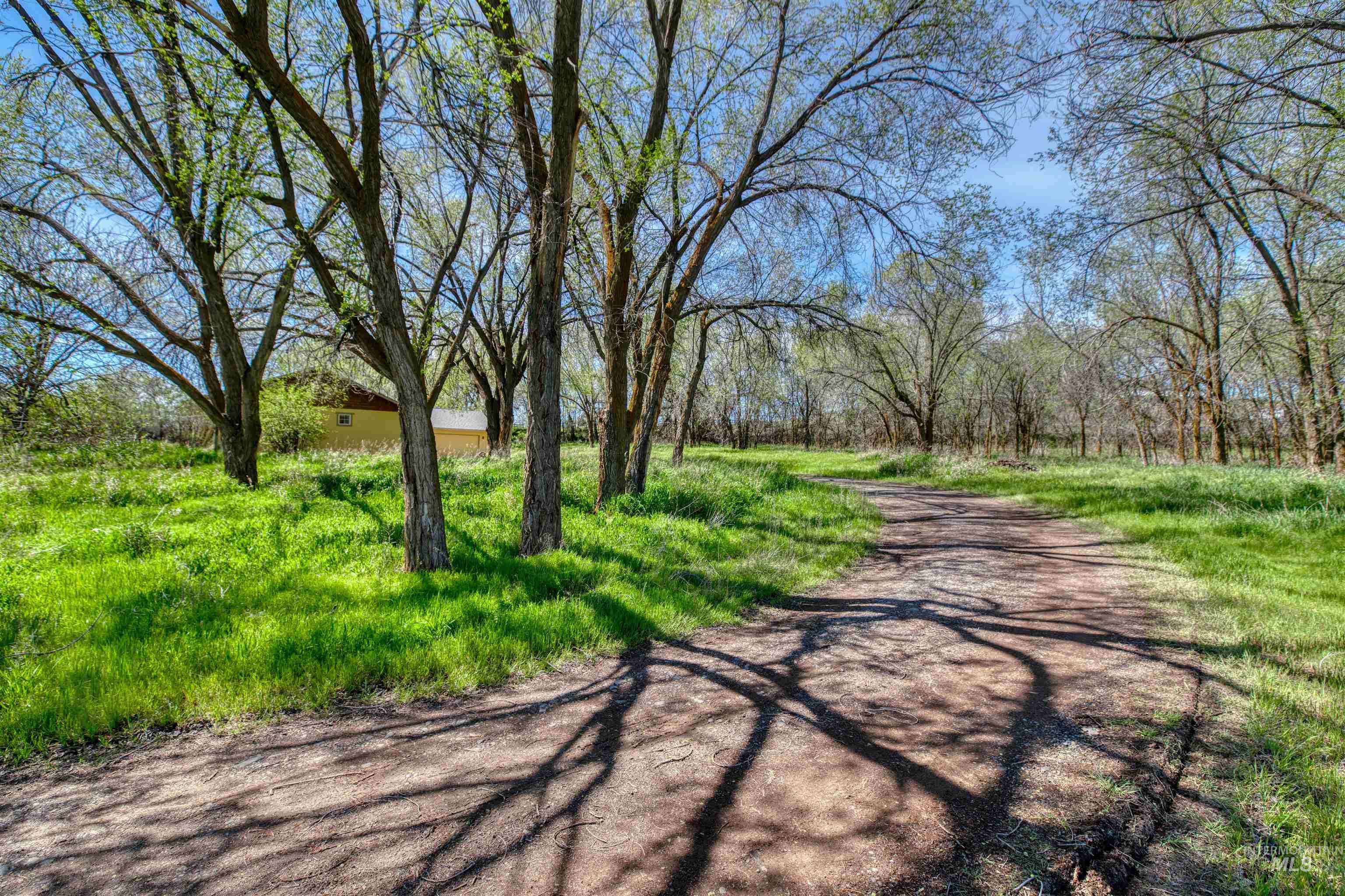 1295 15th St, Vale, Idaho 97918, 3 Bedrooms, 2 Bathrooms, Residential For Sale, Price $365,000, 98982369