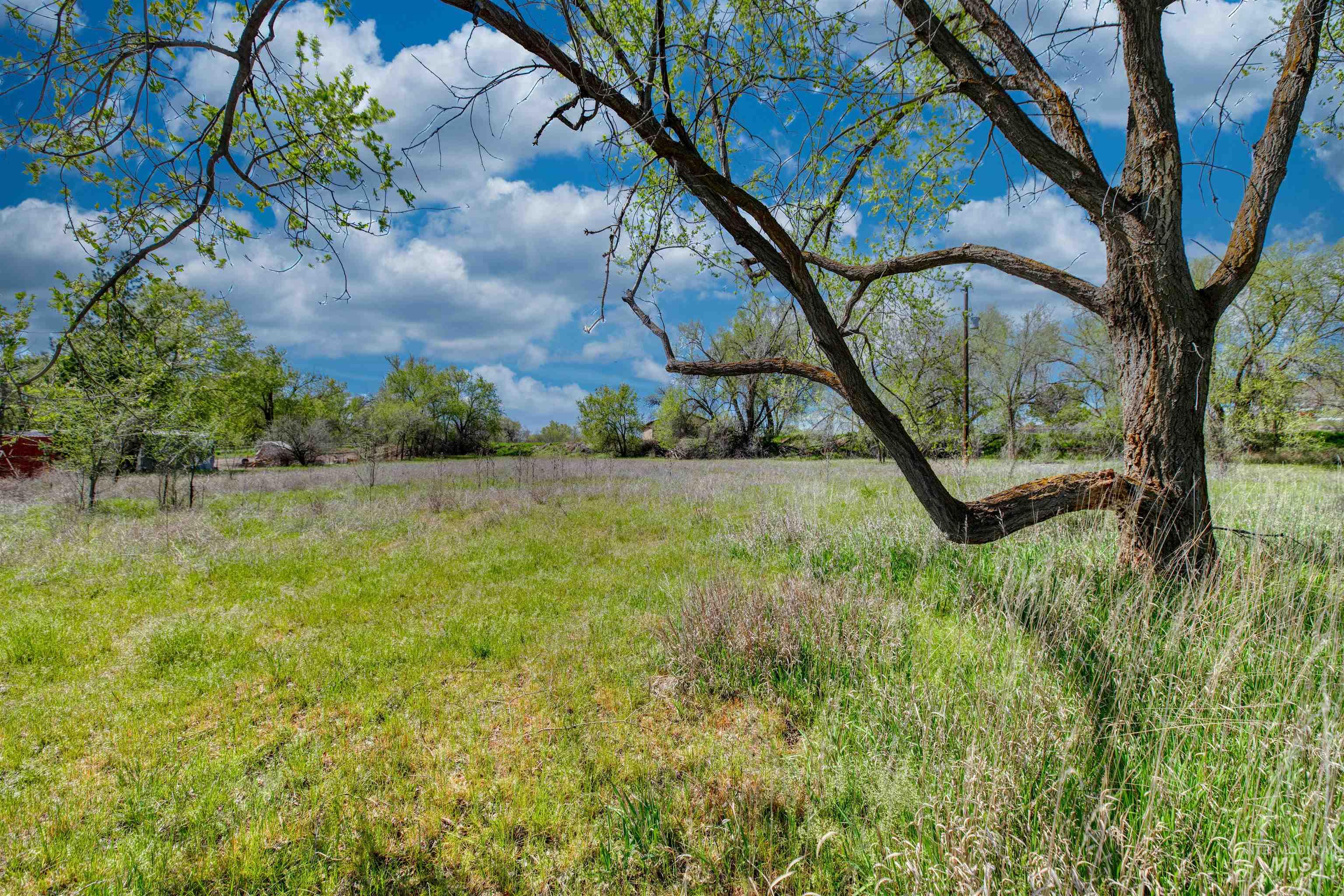 1295 15th St, Vale, Idaho 97918, 3 Bedrooms, 2 Bathrooms, Residential For Sale, Price $365,000, 98982369