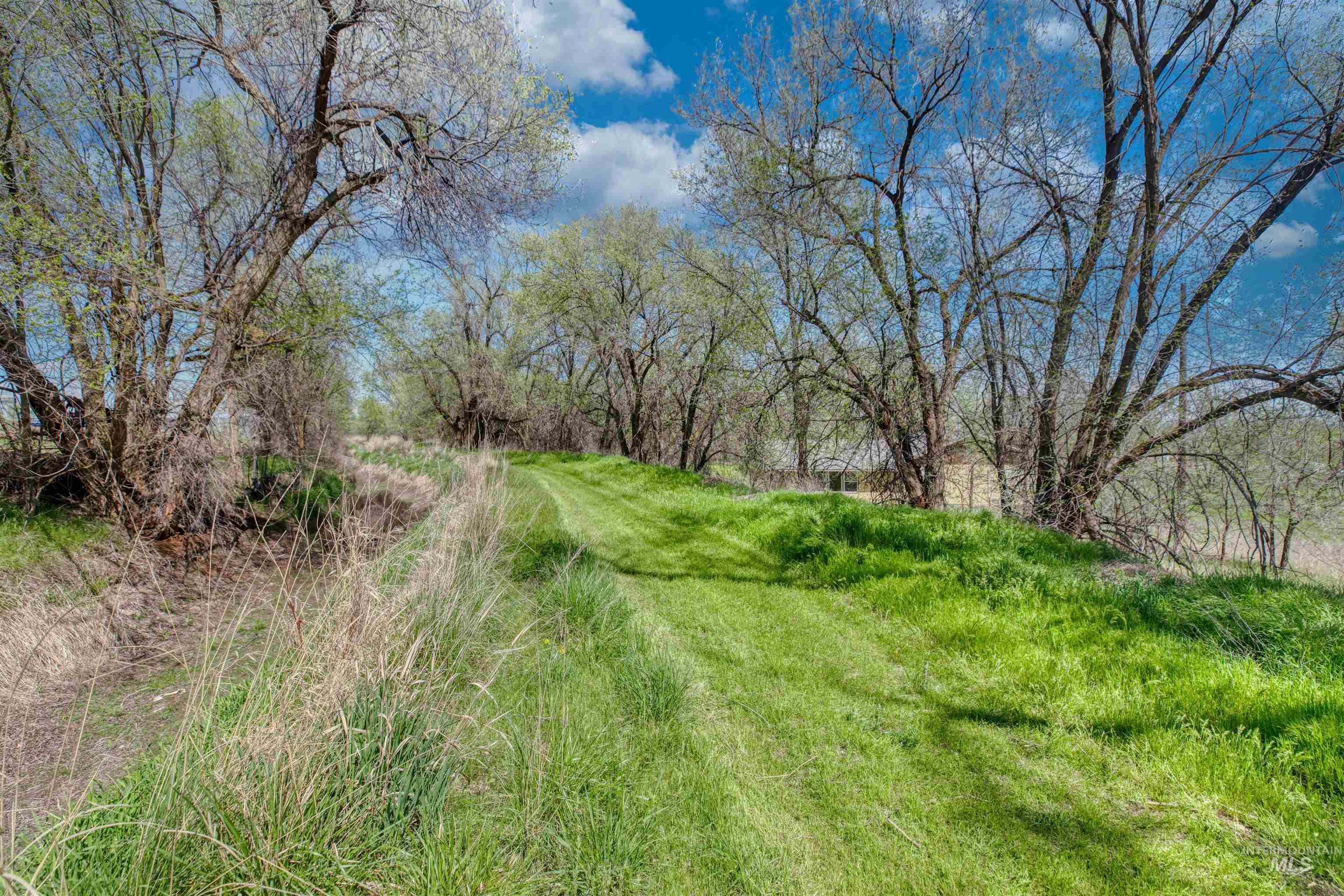 1295 15th St, Vale, Idaho 97918, 3 Bedrooms, 2 Bathrooms, Residential For Sale, Price $365,000, 98982369