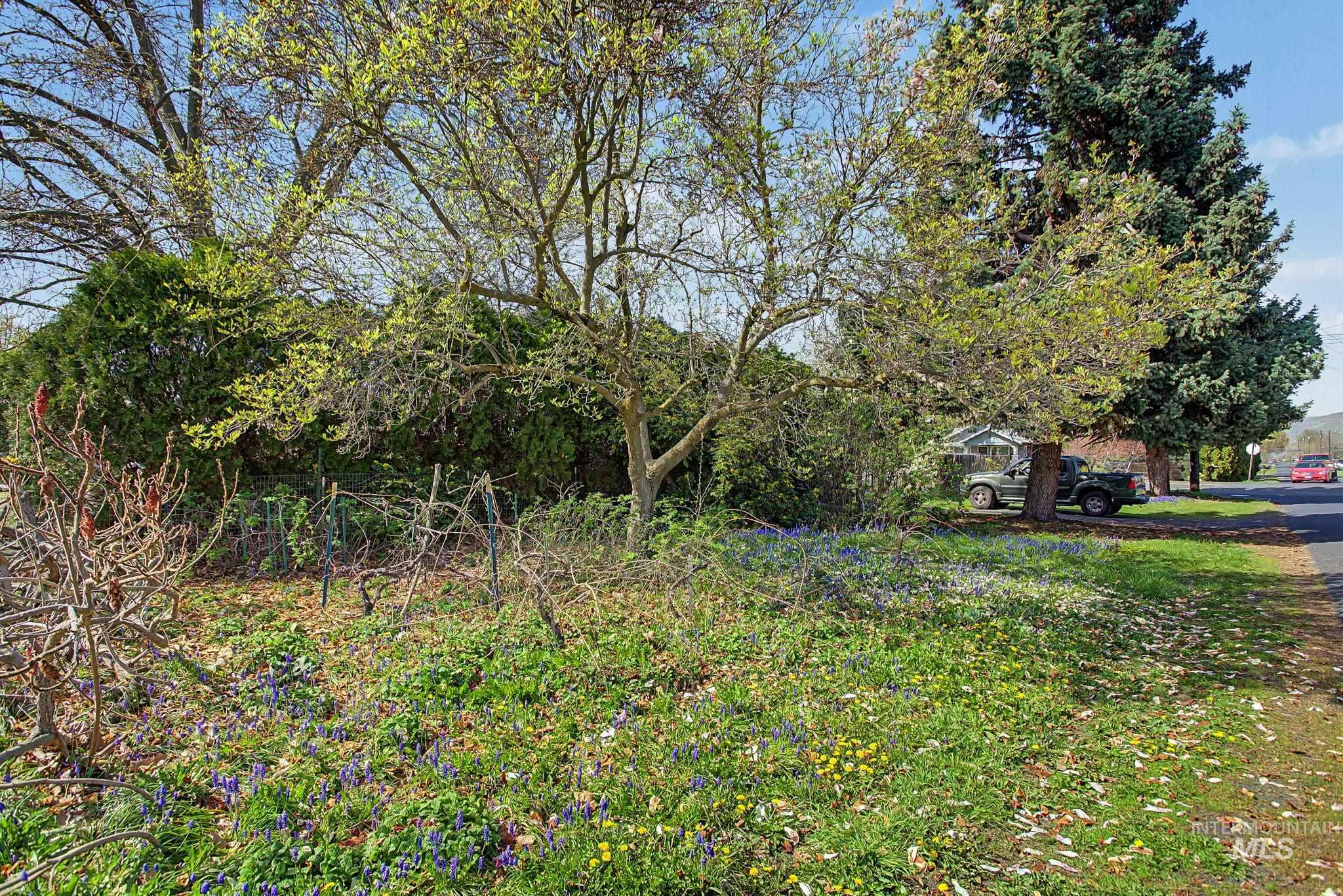 840 Bryden Ave, Lewiston, Idaho 83501, 3 Bedrooms, 2 Bathrooms, Residential For Sale, Price $365,000,MLS 98982386