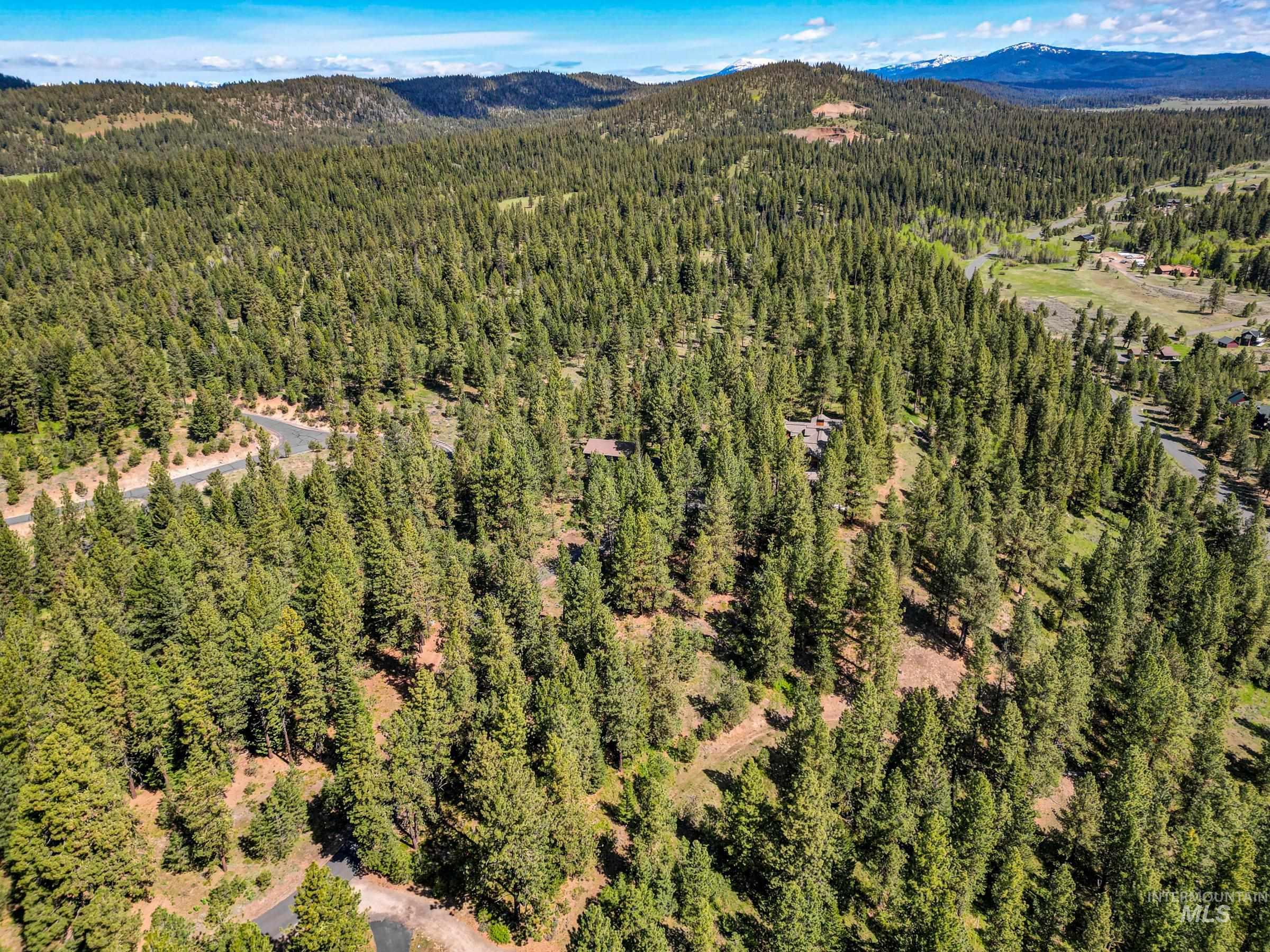 Lot 15 Northwood Ct, McCall, Idaho 83638, Land For Sale, Price $209,000,MLS 98982399