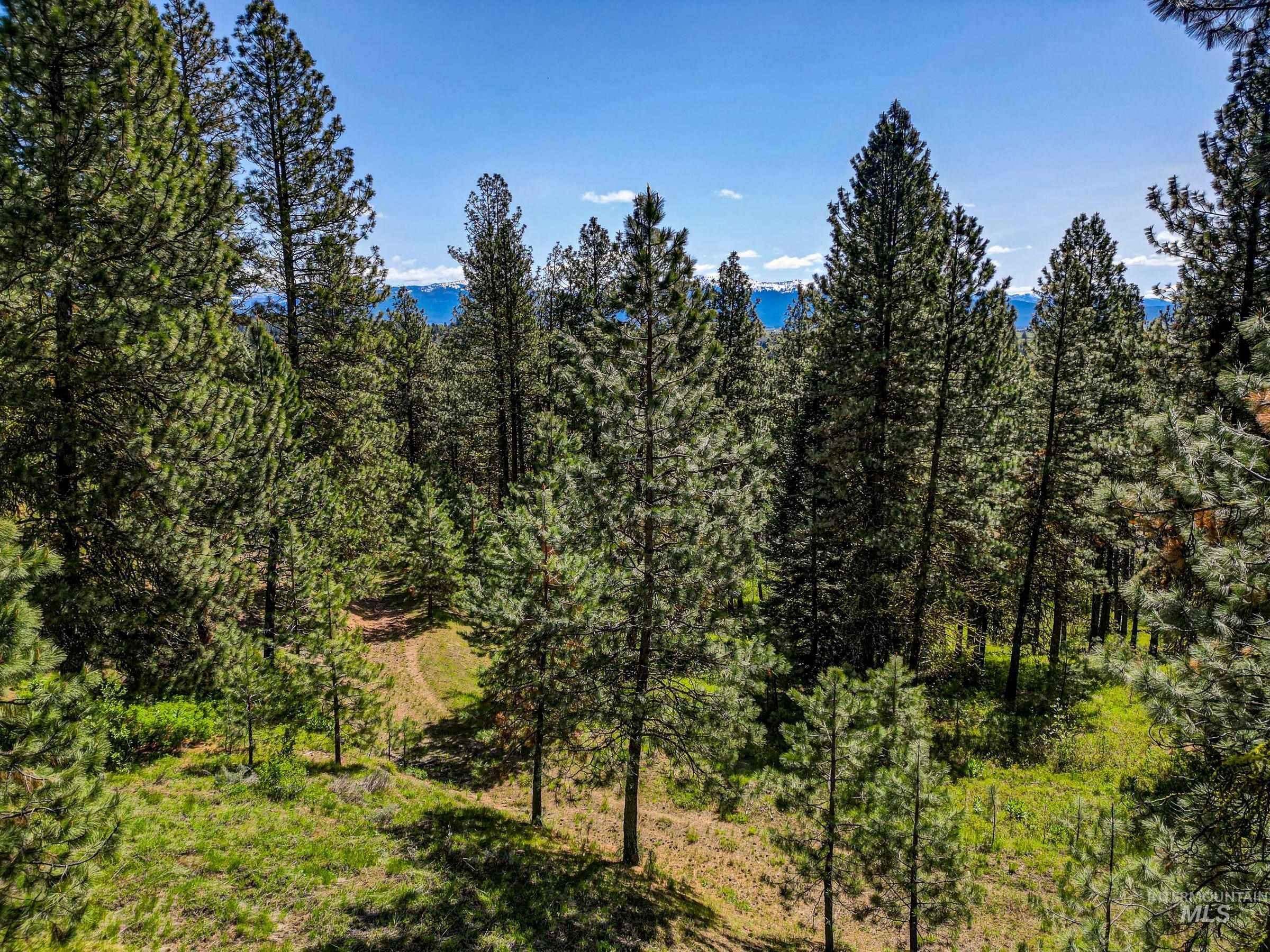 Lot 15 Northwood Ct, McCall, Idaho 83638, Land For Sale, Price $209,000,MLS 98982399
