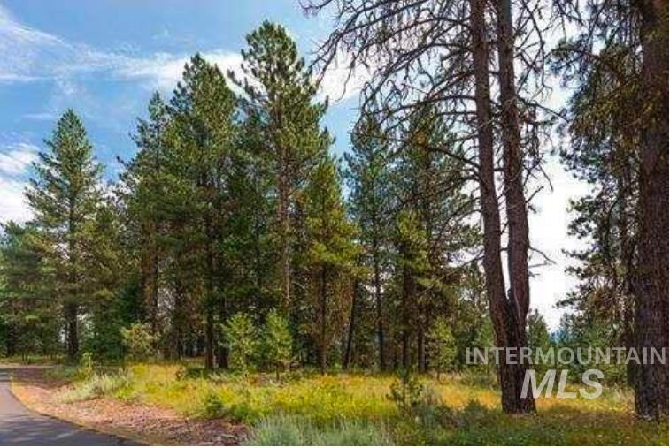 Lot 15 Northwood Ct, McCall, Idaho 83638, Land For Sale, Price $209,000,MLS 98982399