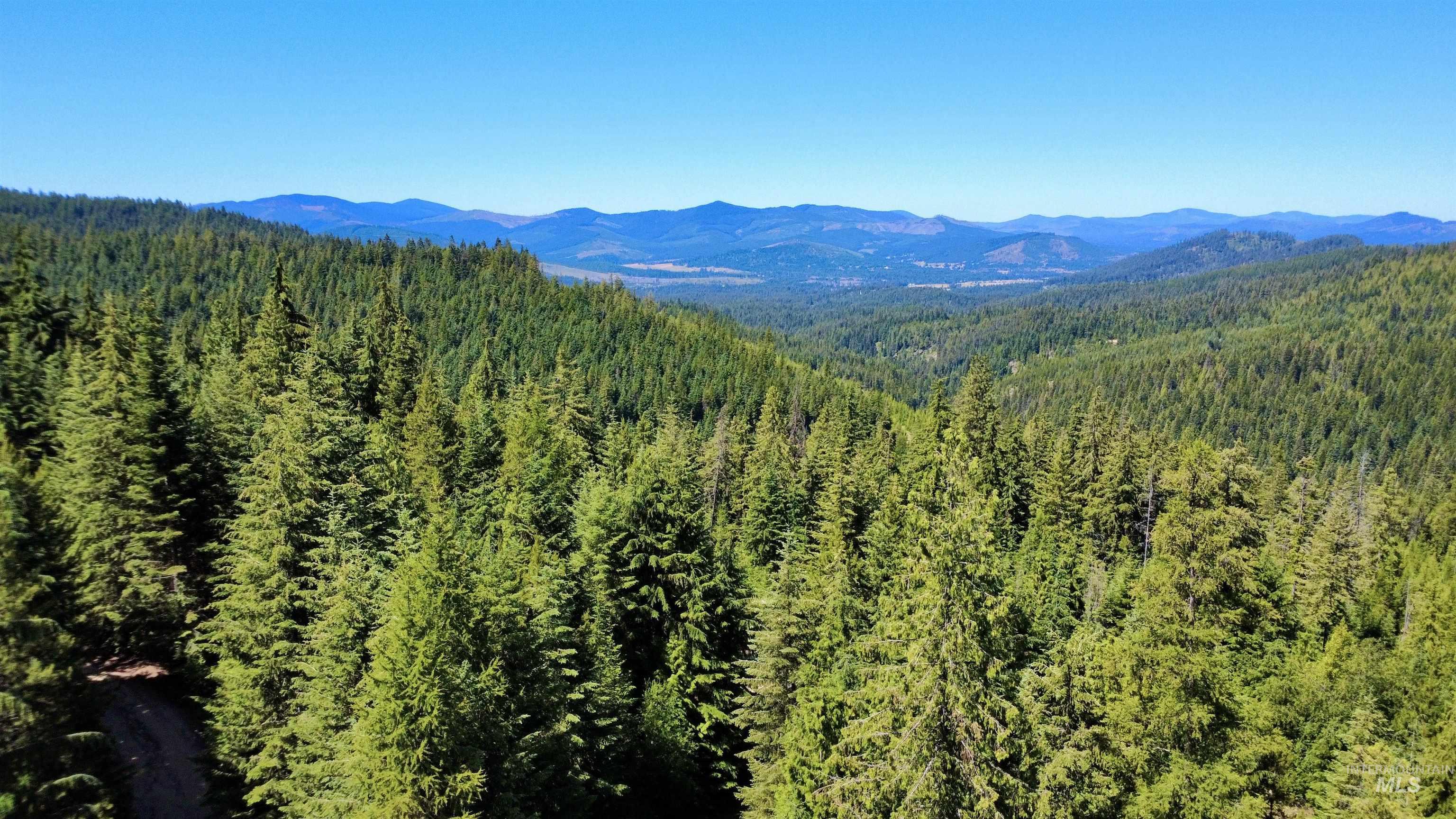 1522 Alpine Dr, Fernwood, Idaho 83830, Land For Sale, Price $269,500,MLS 98982410