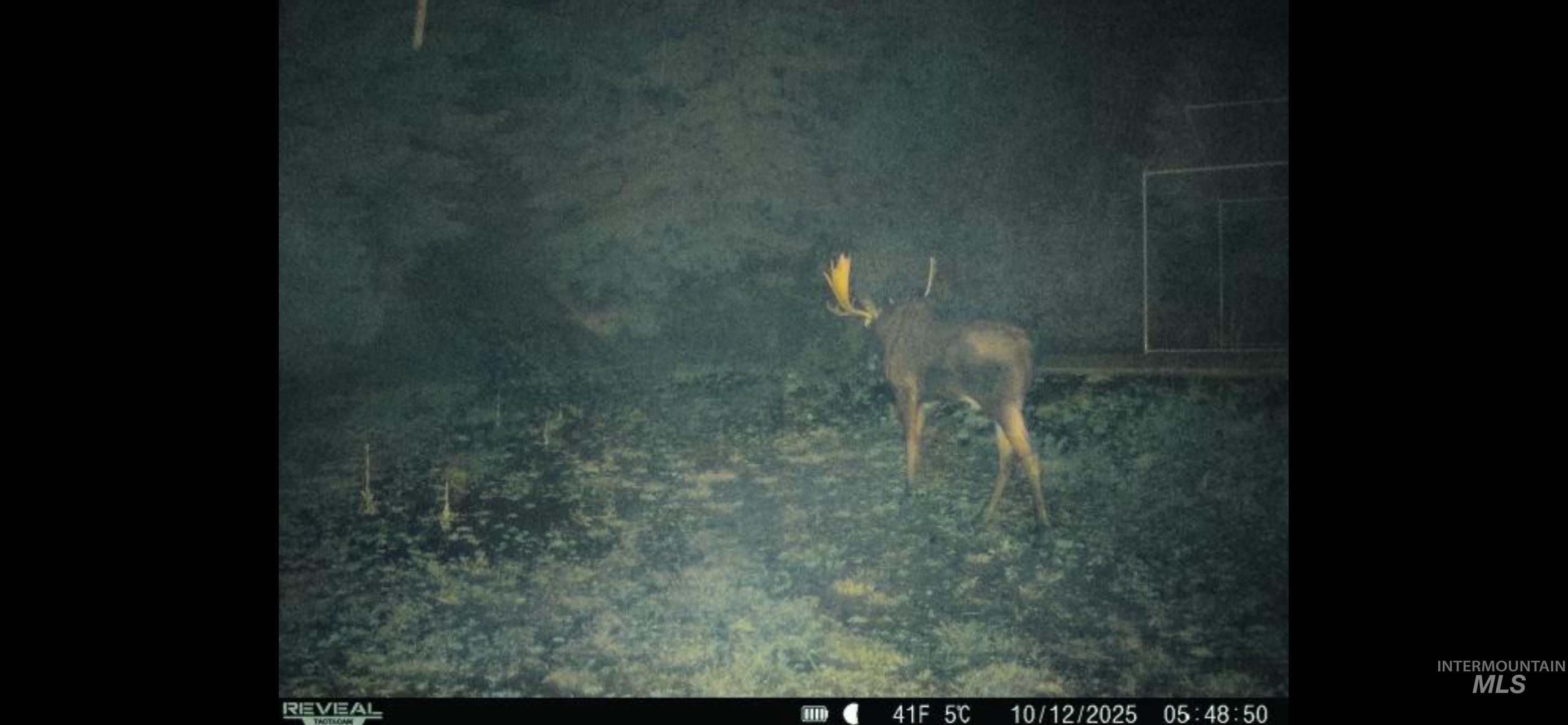 1522 Alpine Dr, Fernwood, Idaho 83830, Land For Sale, Price $269,500,MLS 98982410