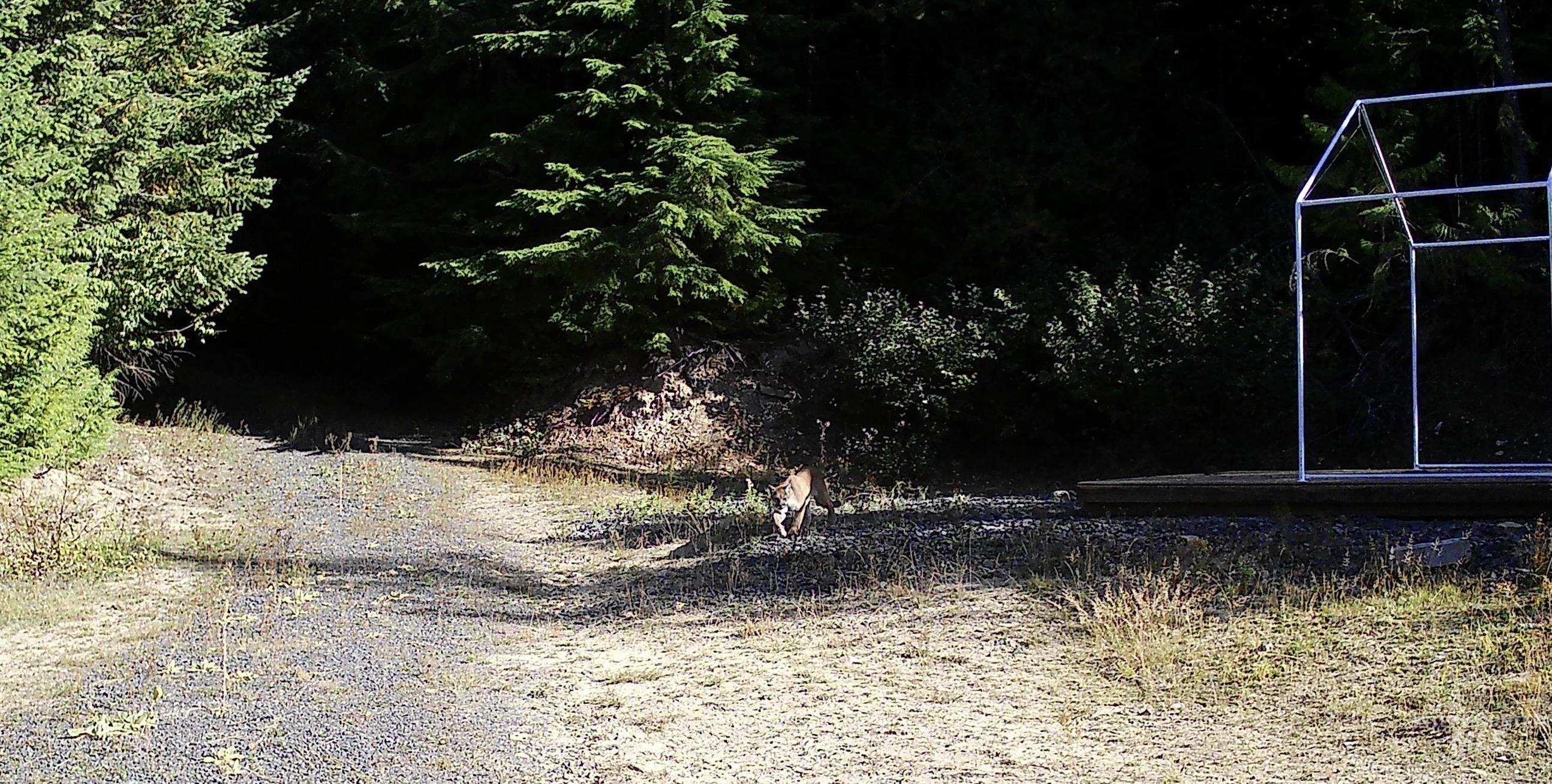 1522 Alpine Dr, Fernwood, Idaho 83830, Land For Sale, Price $269,500,MLS 98982410