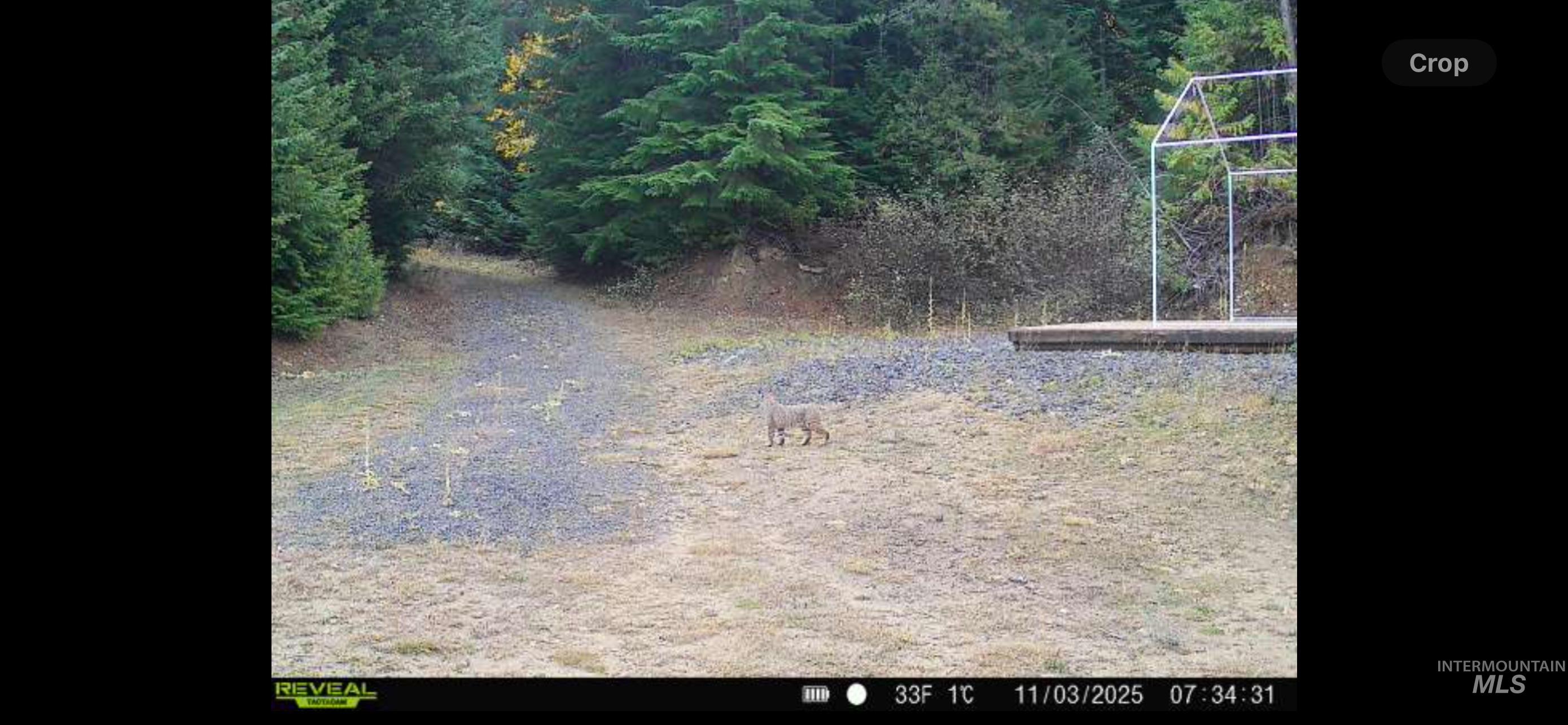 1522 Alpine Dr, Fernwood, Idaho 83830, Land For Sale, Price $269,500,MLS 98982410