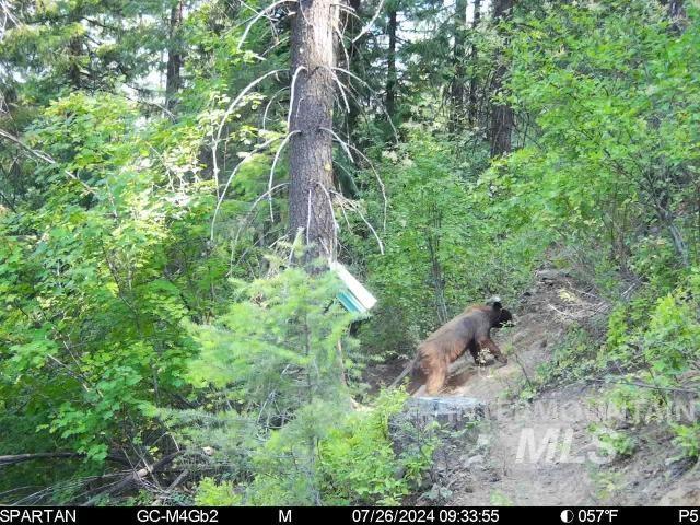 1522 Alpine Dr, Fernwood, Idaho 83830, Land For Sale, Price $269,500,MLS 98982410