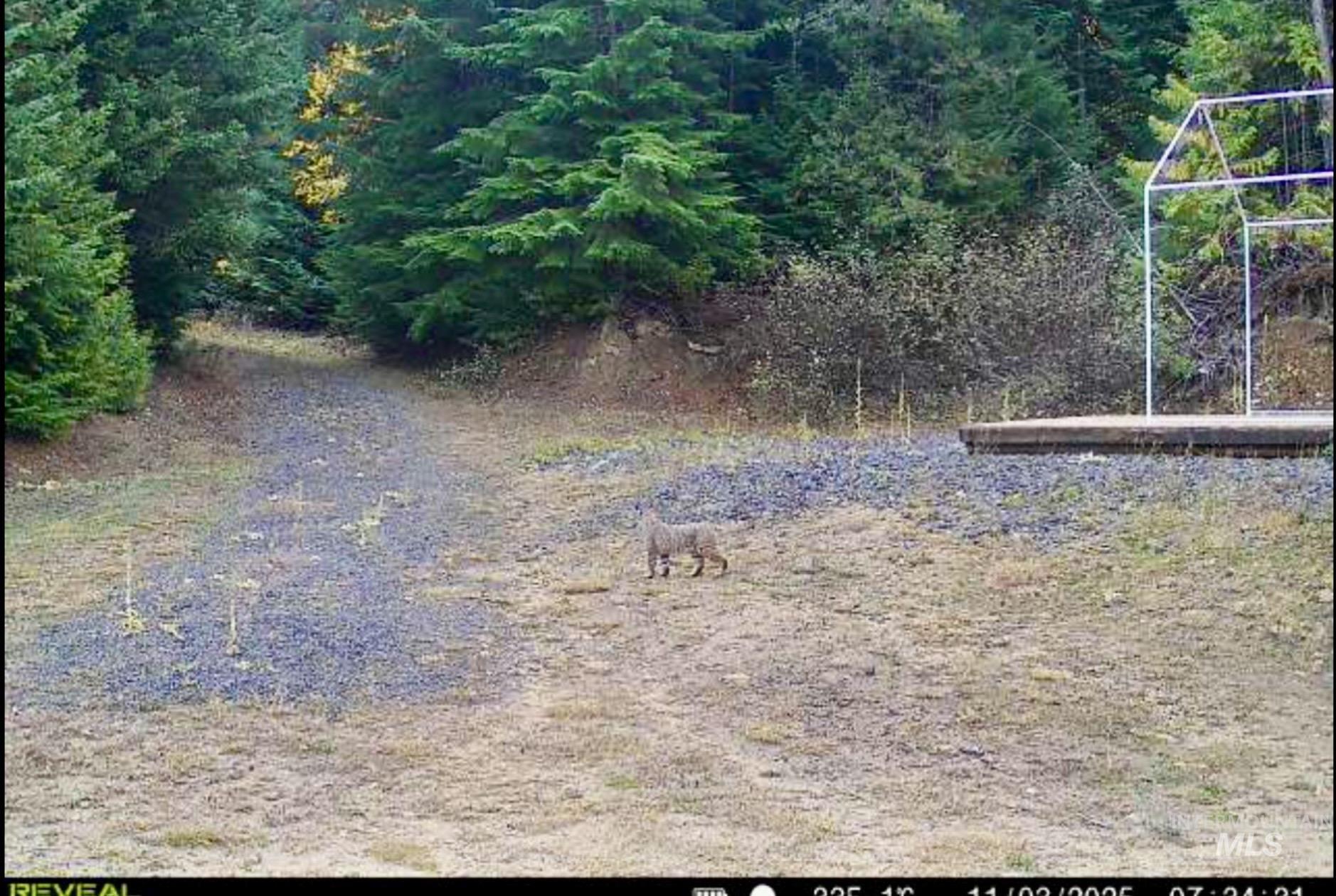 1522 Alpine Dr, Fernwood, Idaho 83830, Land For Sale, Price $269,500,MLS 98982410