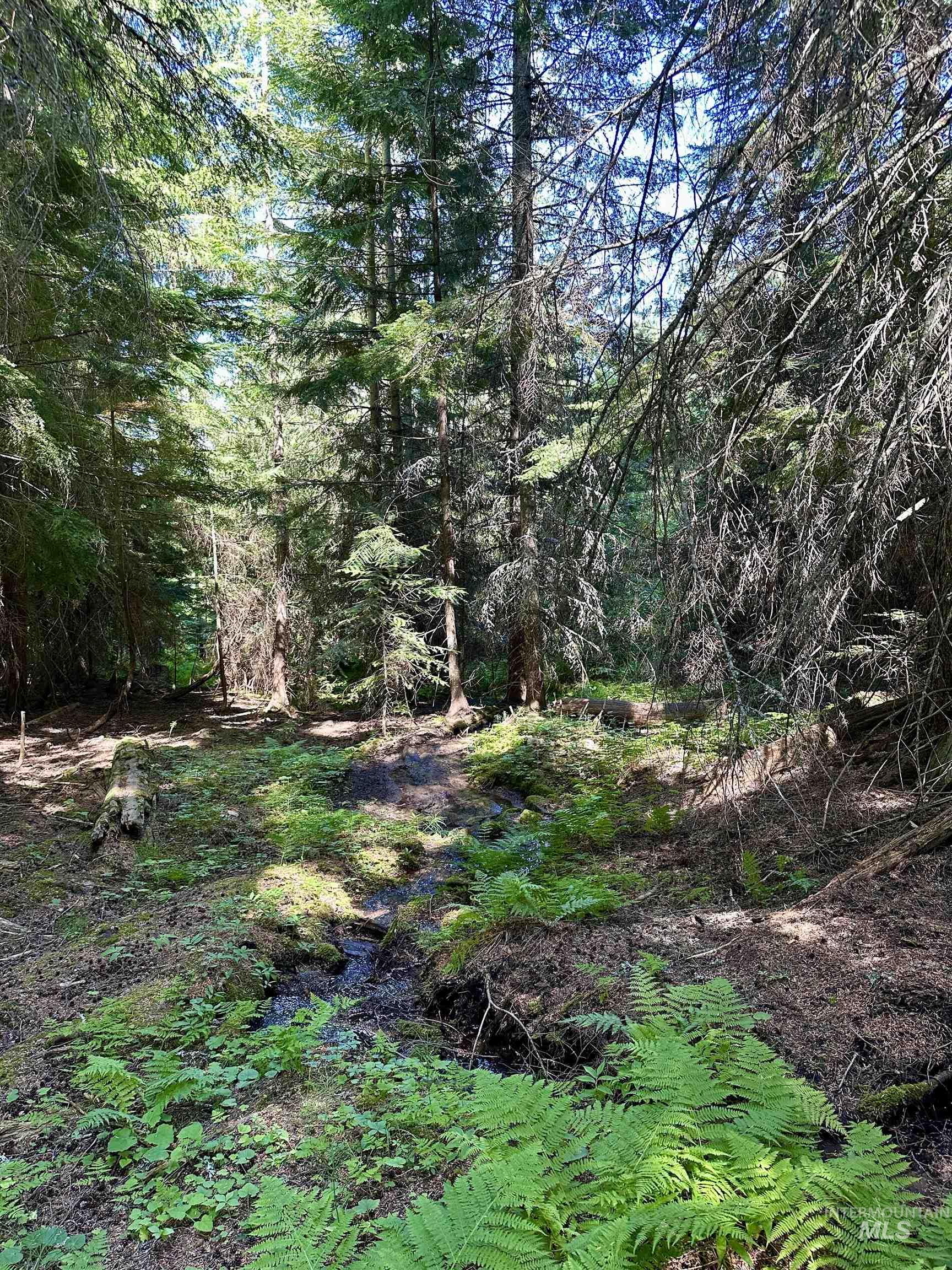 1522 Alpine Dr, Fernwood, Idaho 83830, Land For Sale, Price $269,500,MLS 98982410