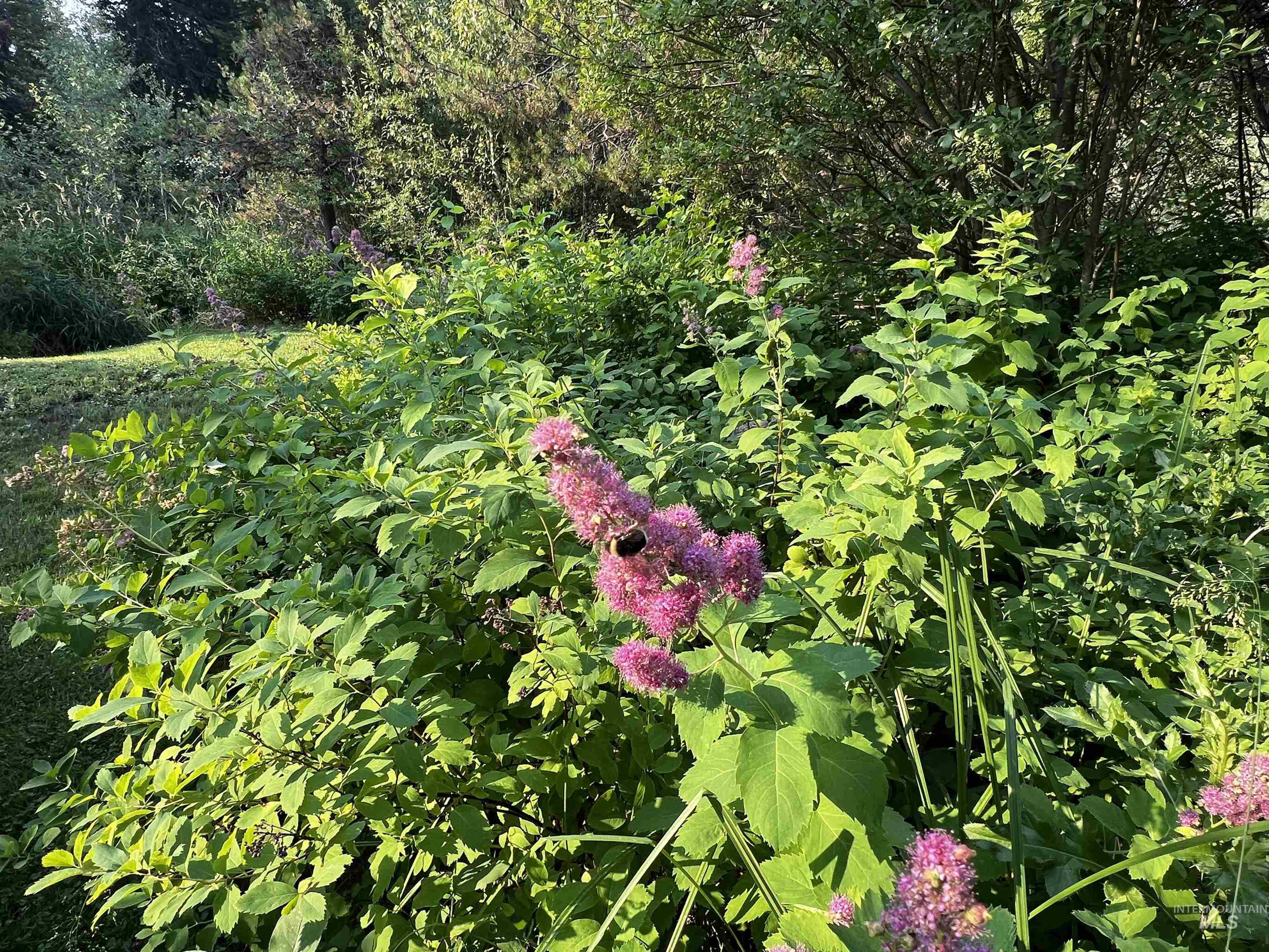 106 Forest Place, Donnelly, Idaho 83615, 3 Bedrooms, 2 Bathrooms, Residential For Sale, Price $599,000,MLS 98982472