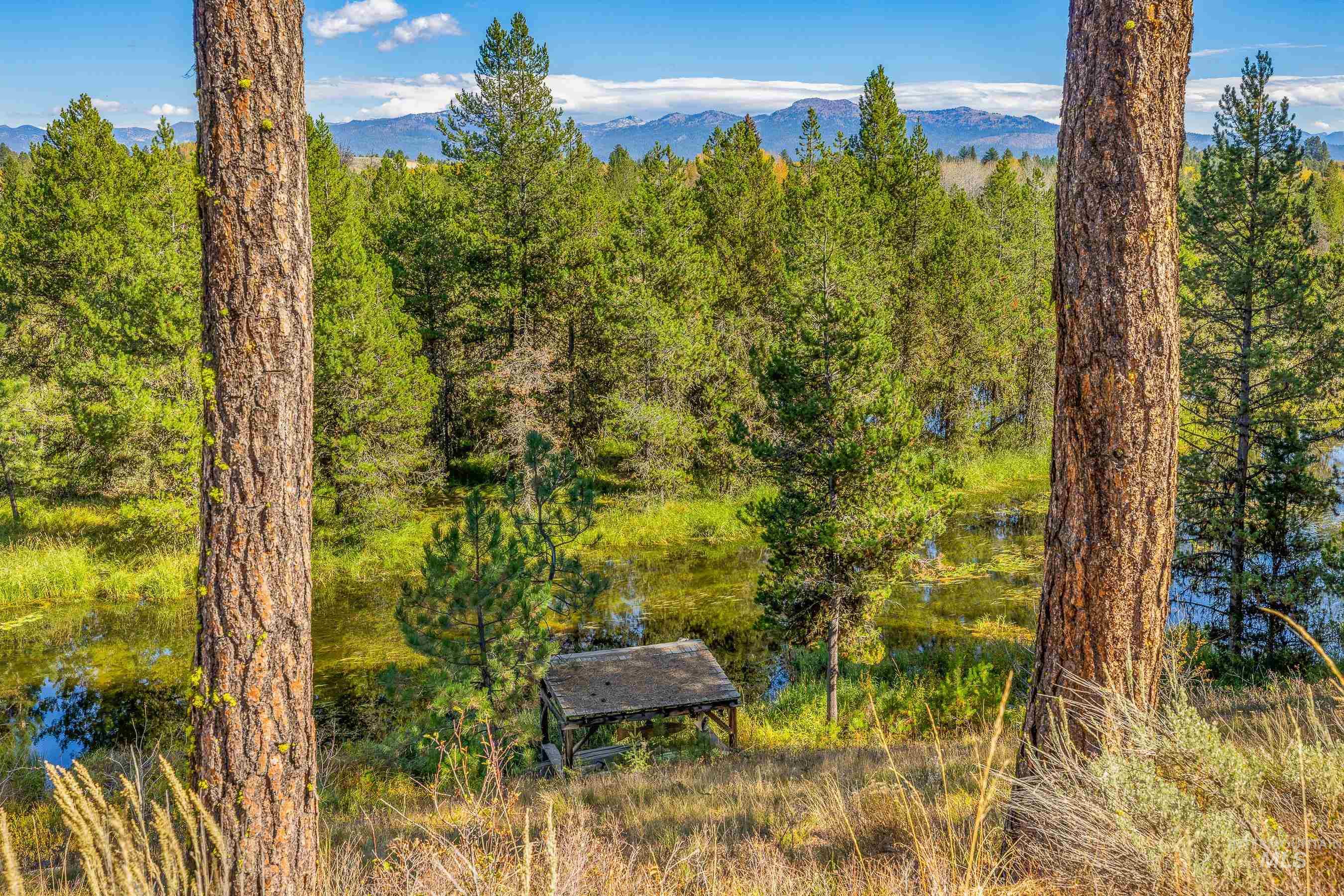 8 Bitterroot Court, McCall, Idaho 83638, 3 Bedrooms, 2.5 Bathrooms, Residential For Sale, Price $1,459,000, 98982515