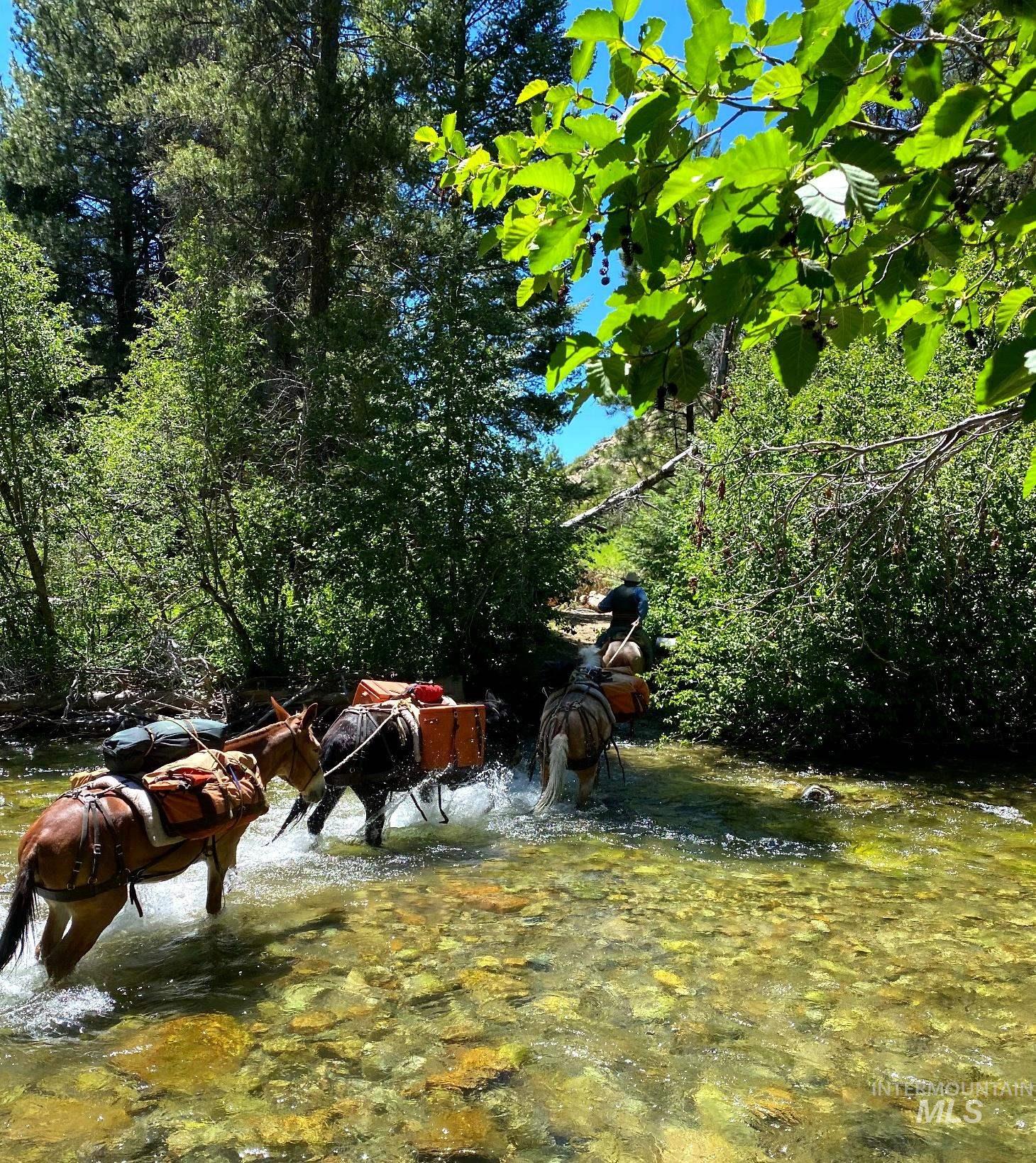 115 W Horseshoe Loop, Fairfield, Idaho 83327, 2 Bedrooms, 2.5 Bathrooms, Residential For Sale, Price $675,000,MLS 98982524