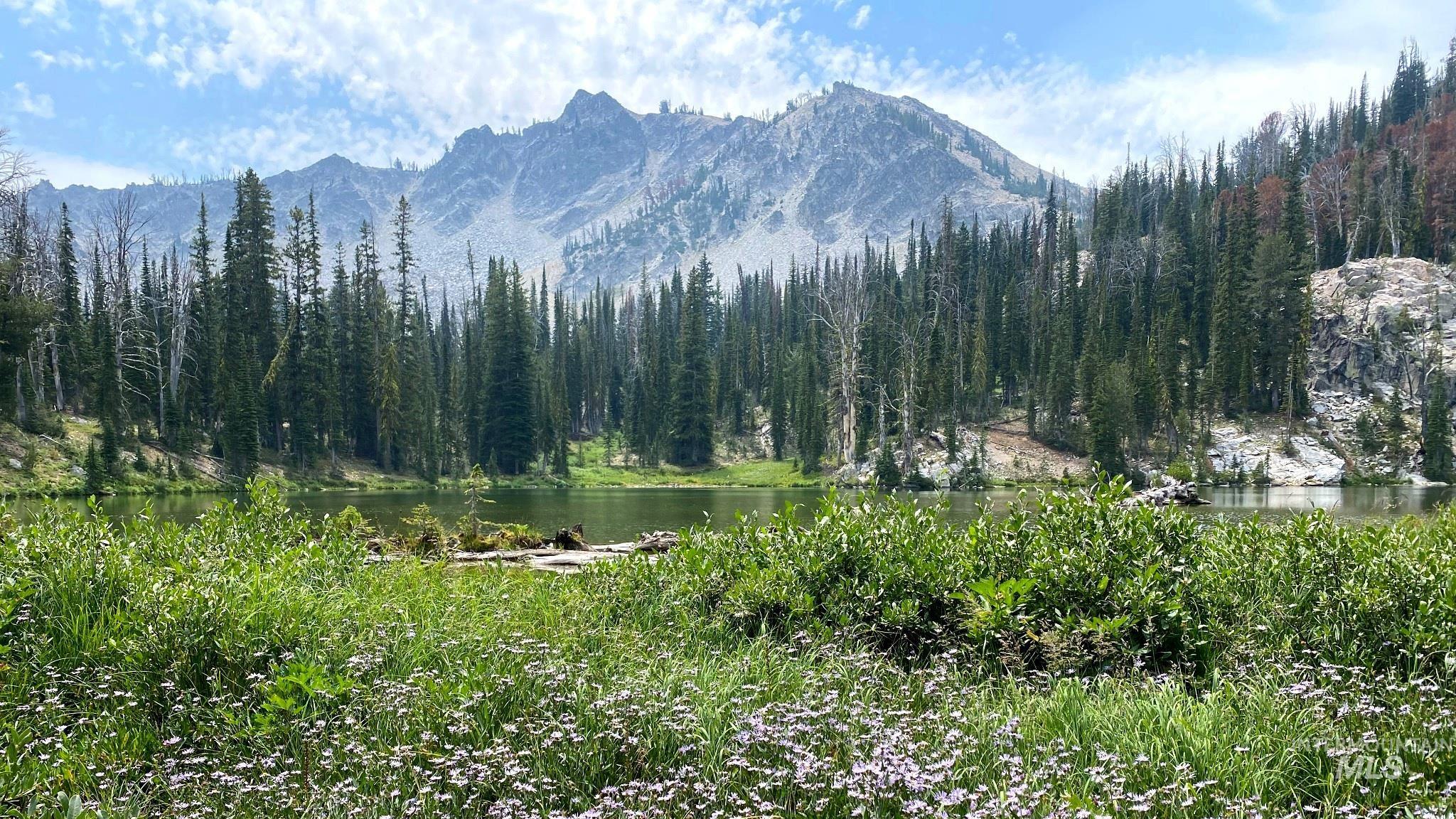 115 W Horseshoe Loop, Fairfield, Idaho 83327, 2 Bedrooms, 2.5 Bathrooms, Residential For Sale, Price $675,000,MLS 98982524