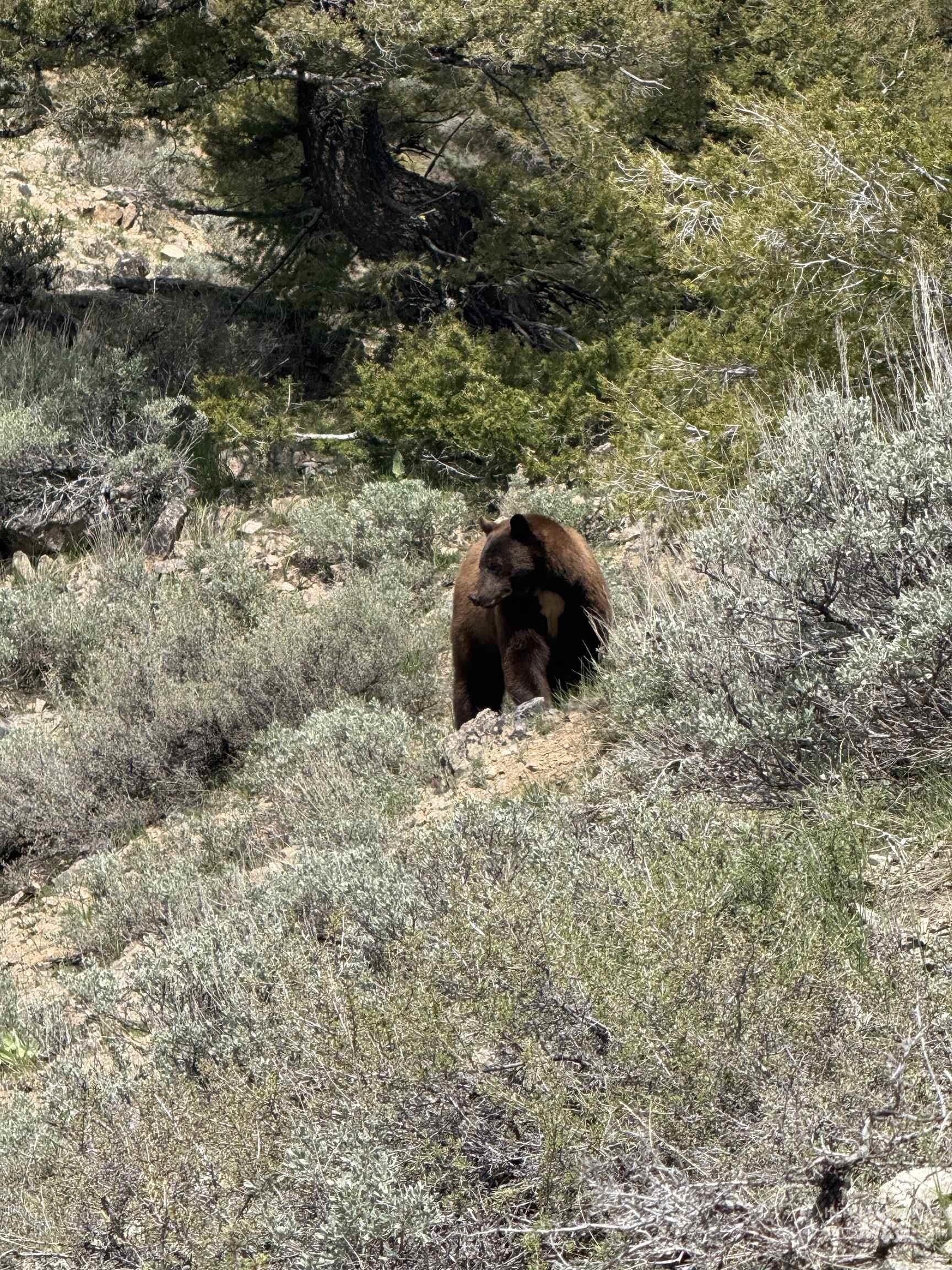 115 W Horseshoe Loop, Fairfield, Idaho 83327, 2 Bedrooms, 2.5 Bathrooms, Residential For Sale, Price $675,000,MLS 98982524