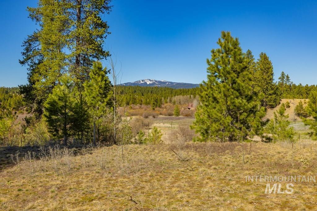 105 Saddle Court, McCall, Idaho 83638, Land For Sale, Price $319,000, 98982526