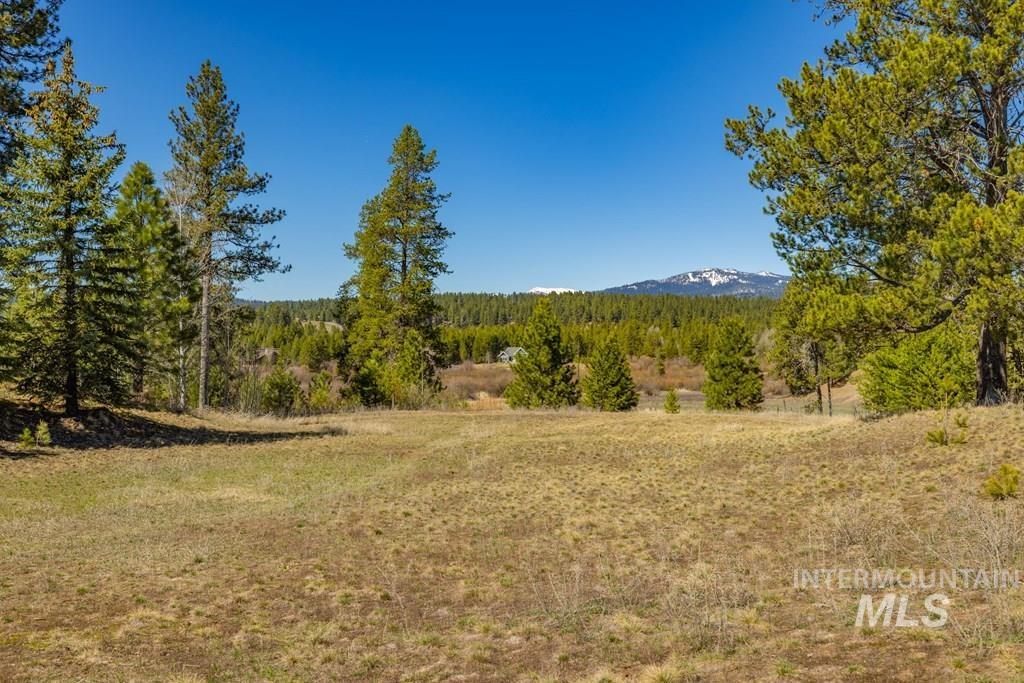 105 Saddle Court, McCall, Idaho 83638, Land For Sale, Price $319,000, 98982526