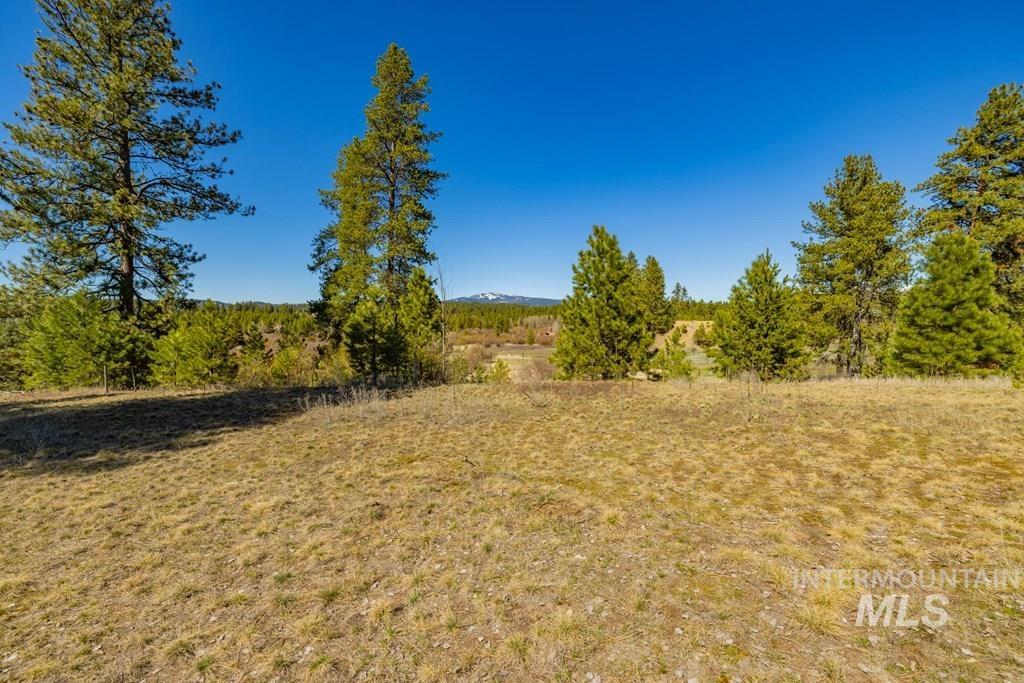 105 Saddle Court, McCall, Idaho 83638, Land For Sale, Price $319,000, 98982526