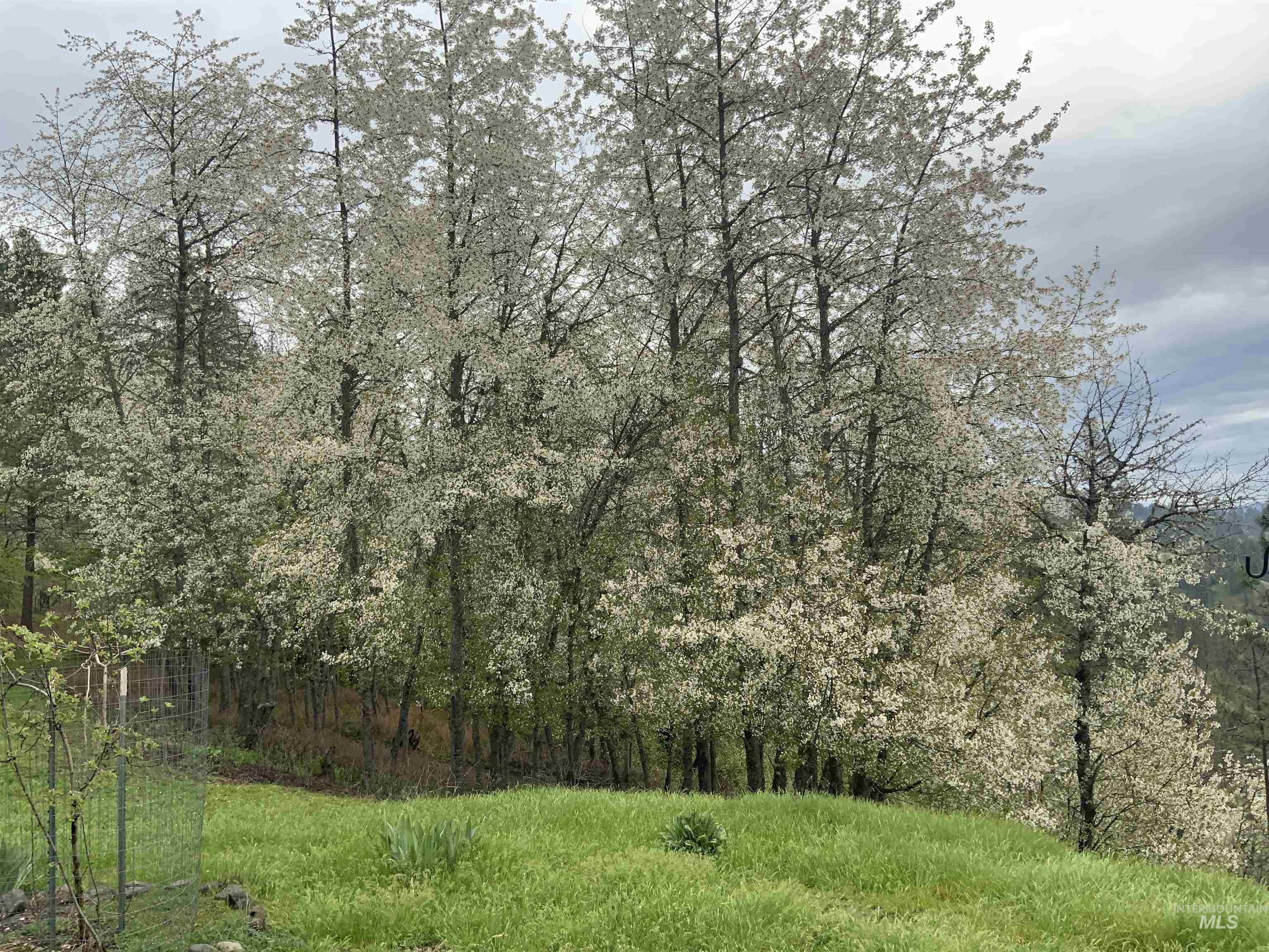 809 River Pointe Lane, Lenore, Idaho 83541, 2 Bedrooms, 2 Bathrooms, Residential For Sale, Price $995,000, 98982553