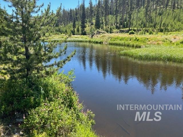 107 Edmonson Drive, Dixie, Idaho 83525, 4 Bedrooms, 2 Bathrooms, Residential For Sale, Price $550,000, 98982561