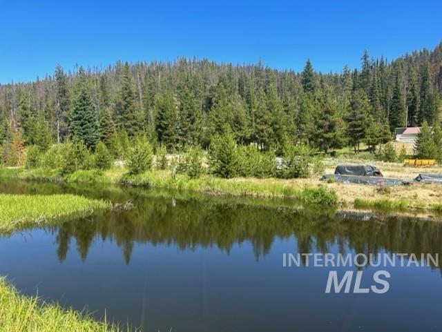 107 Edmonson Drive, Dixie, Idaho 83525, 4 Bedrooms, 2 Bathrooms, Residential For Sale, Price $550,000, 98982561