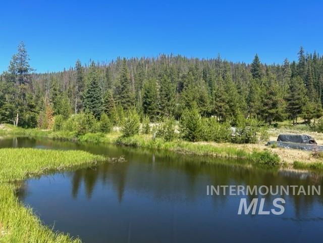 107 Edmonson Drive, Dixie, Idaho 83525, 4 Bedrooms, 2 Bathrooms, Residential For Sale, Price $550,000, 98982561