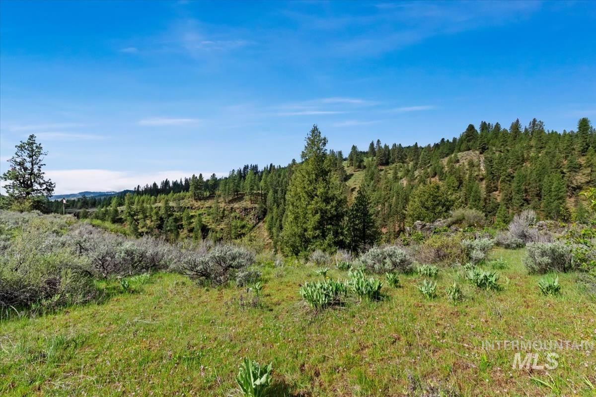 Lot 5 N Corral Flat Rd, Boise, Idaho 83716, Land For Sale, Price $409,000, 98982564