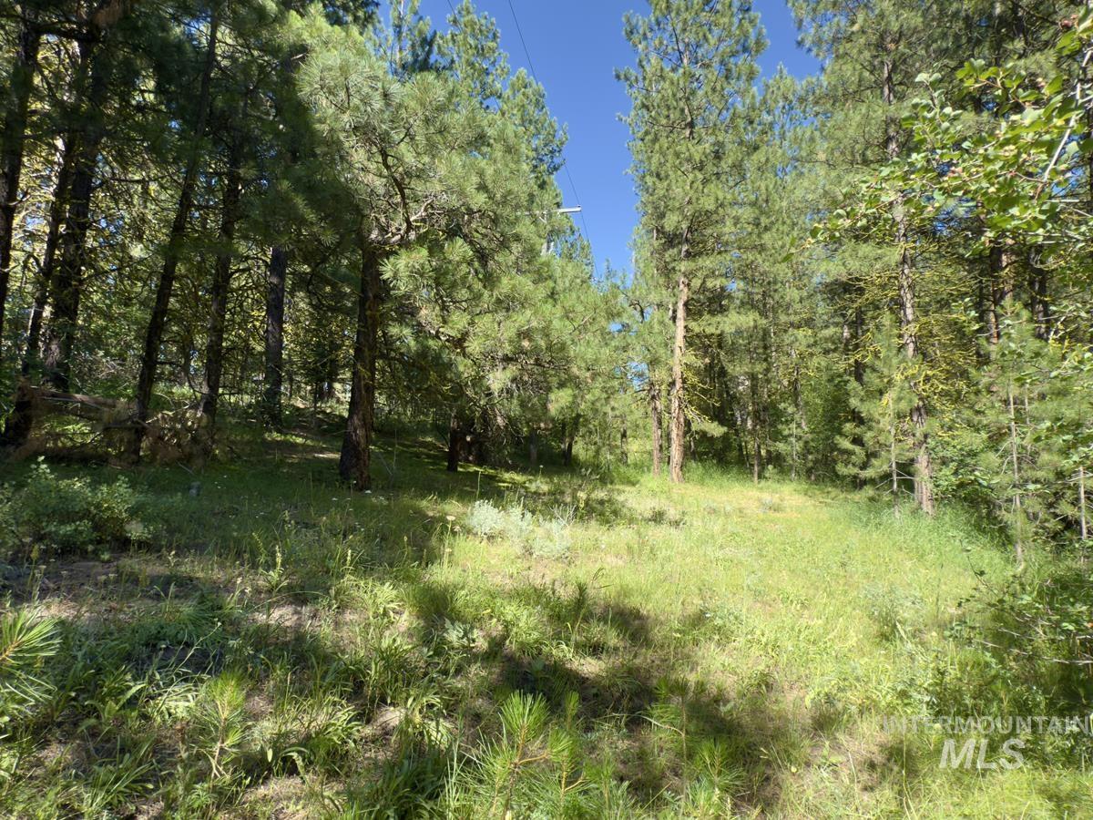 18 & 20 Shady Pine Way, Cascade, Idaho 83611, Land For Sale, Price $110,000,MLS 98982589
