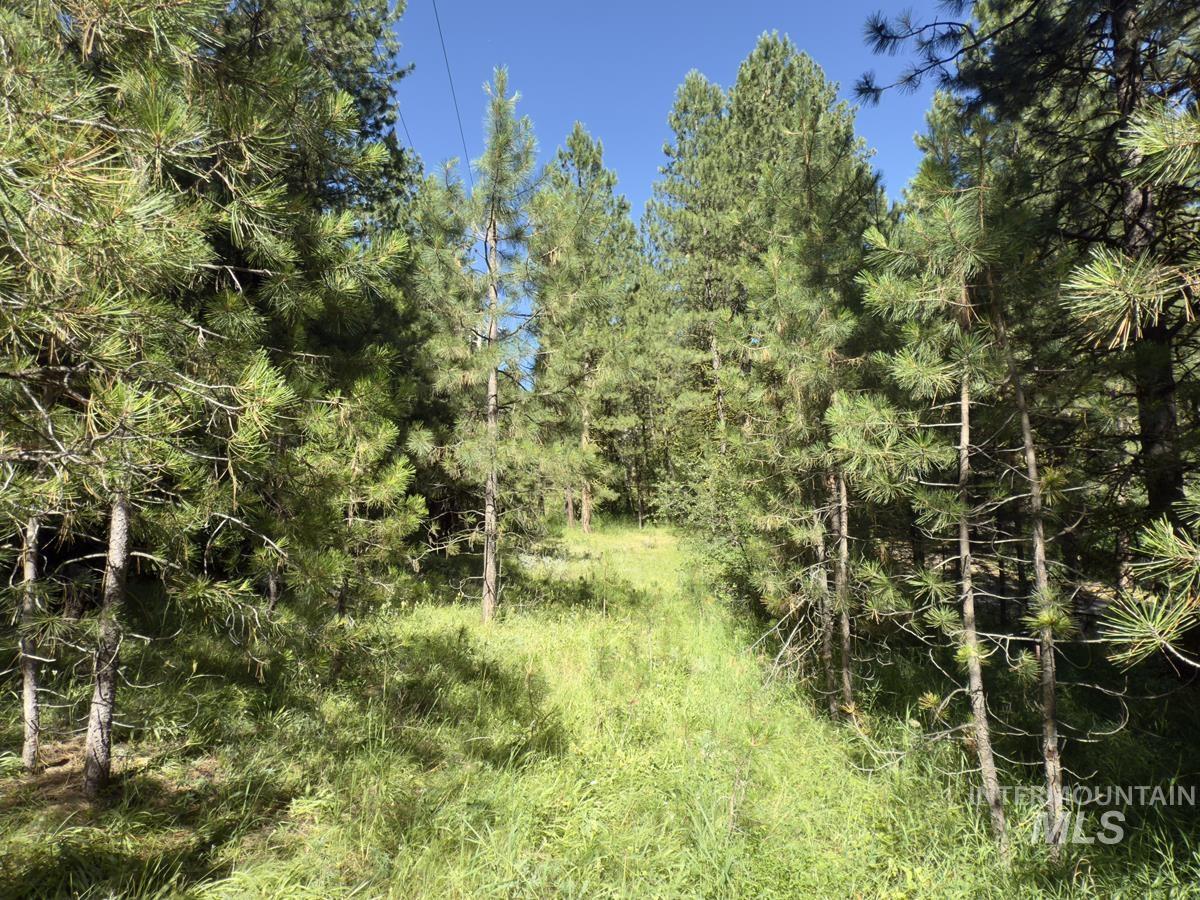 18 & 20 Shady Pine Way, Cascade, Idaho 83611, Land For Sale, Price $110,000,MLS 98982589