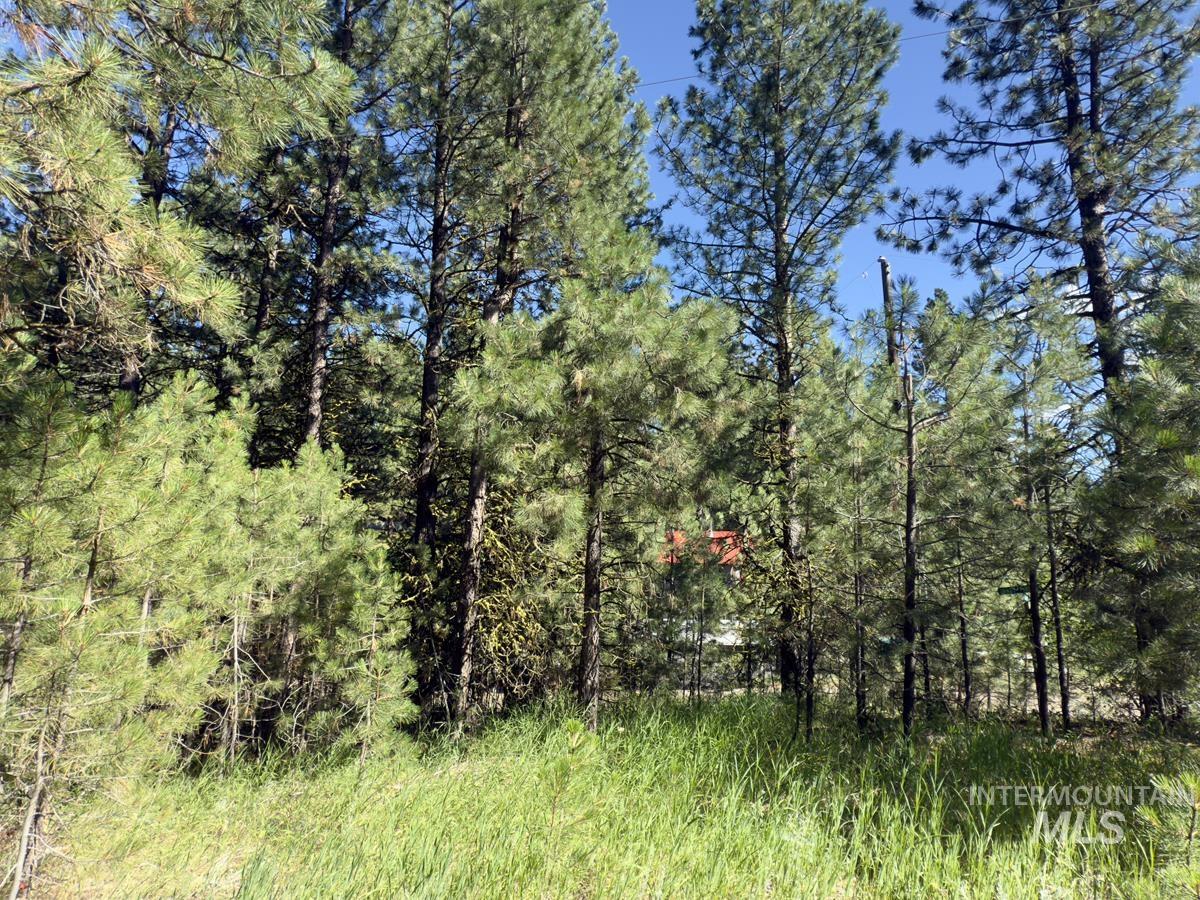 18 & 20 Shady Pine Way, Cascade, Idaho 83611, Land For Sale, Price $110,000,MLS 98982589
