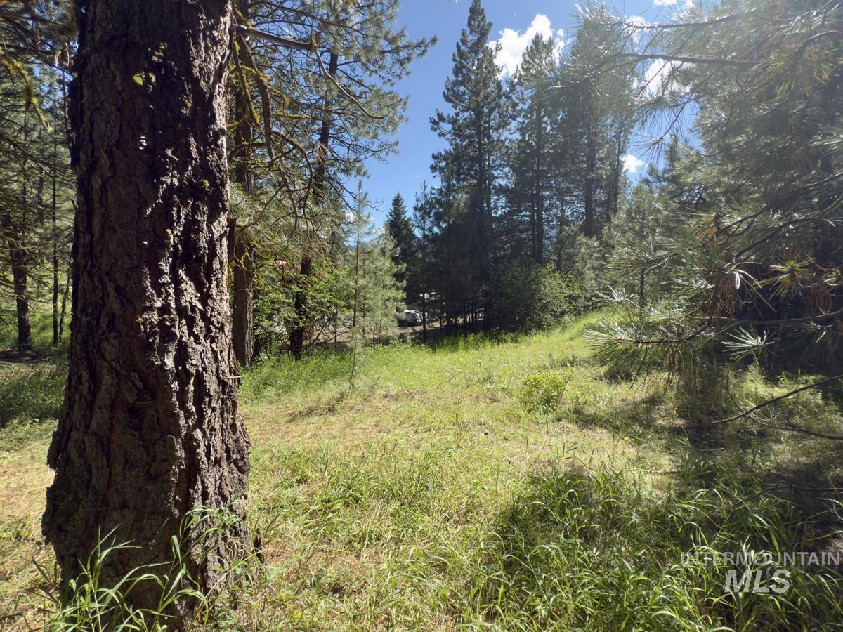 18 & 20 Shady Pine Way, Cascade, Idaho 83611, Land For Sale, Price $110,000,MLS 98982589