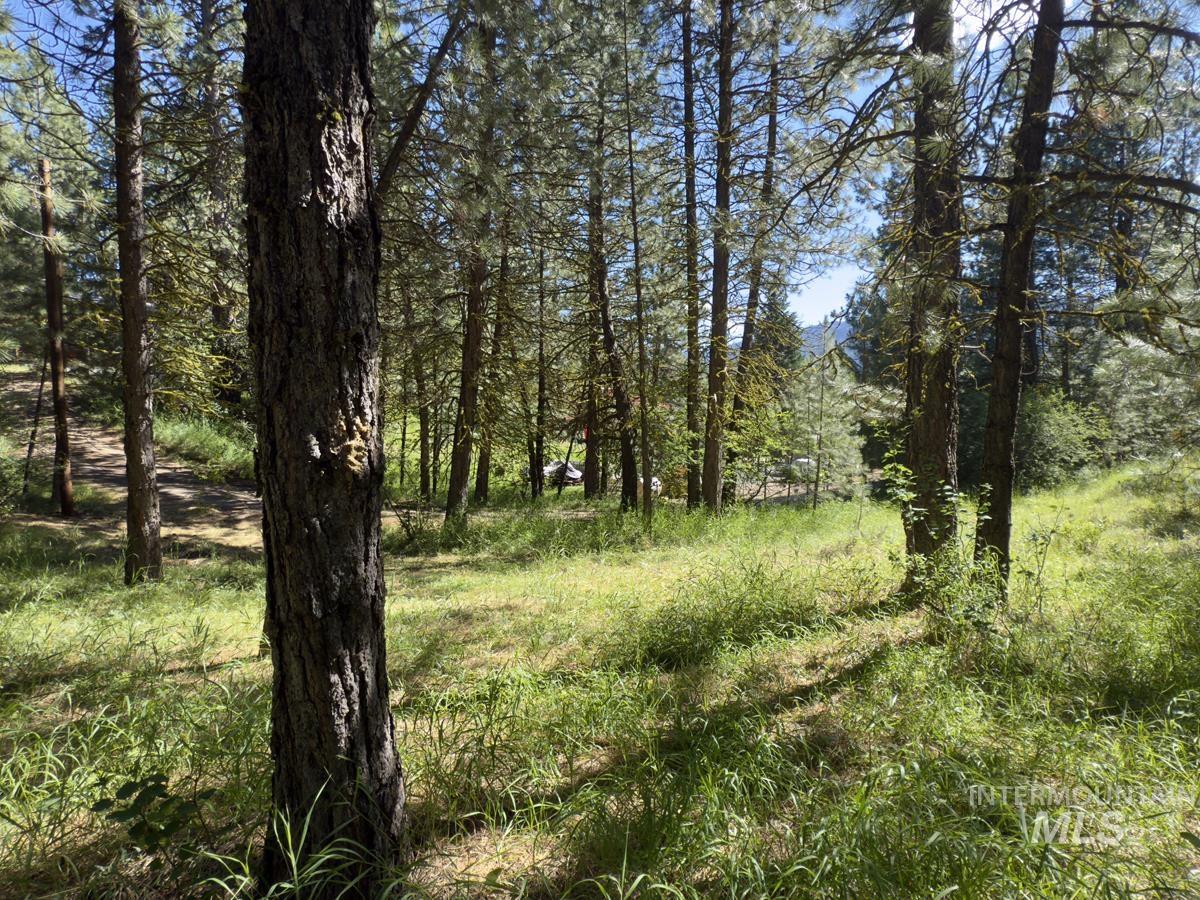 18 & 20 Shady Pine Way, Cascade, Idaho 83611, Land For Sale, Price $110,000,MLS 98982589
