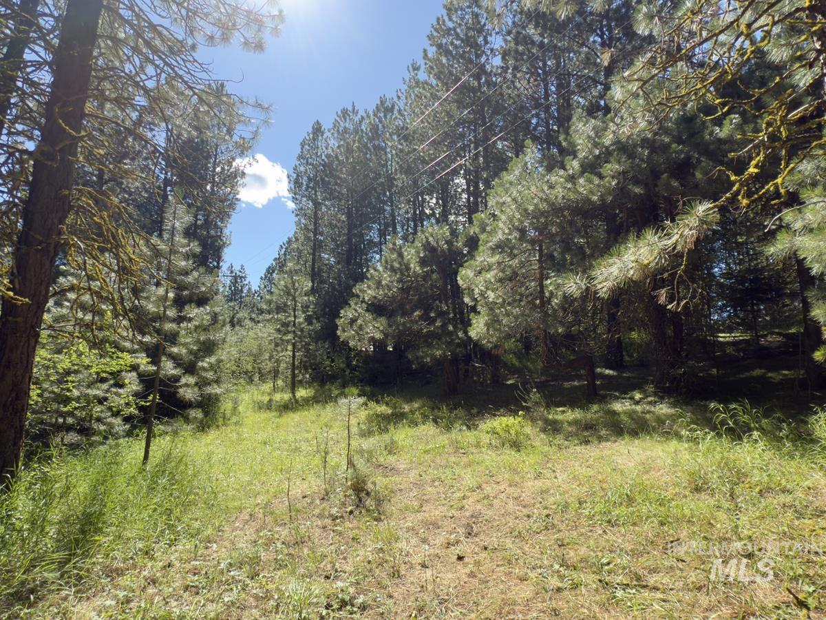 18 & 20 Shady Pine Way, Cascade, Idaho 83611, Land For Sale, Price $110,000,MLS 98982589