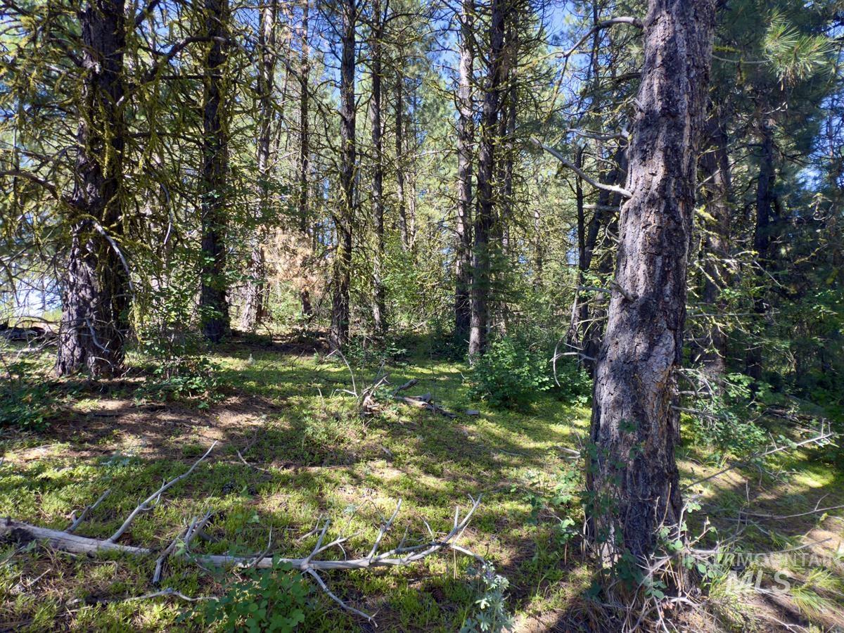 18 & 20 Shady Pine Way, Cascade, Idaho 83611, Land For Sale, Price $110,000,MLS 98982589