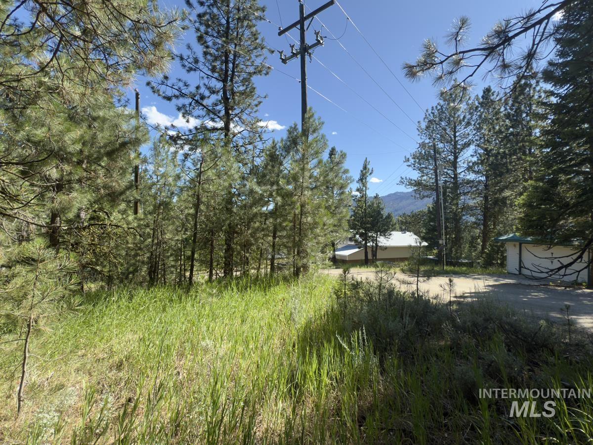 18 & 20 Shady Pine Way, Cascade, Idaho 83611, Land For Sale, Price $110,000,MLS 98982589