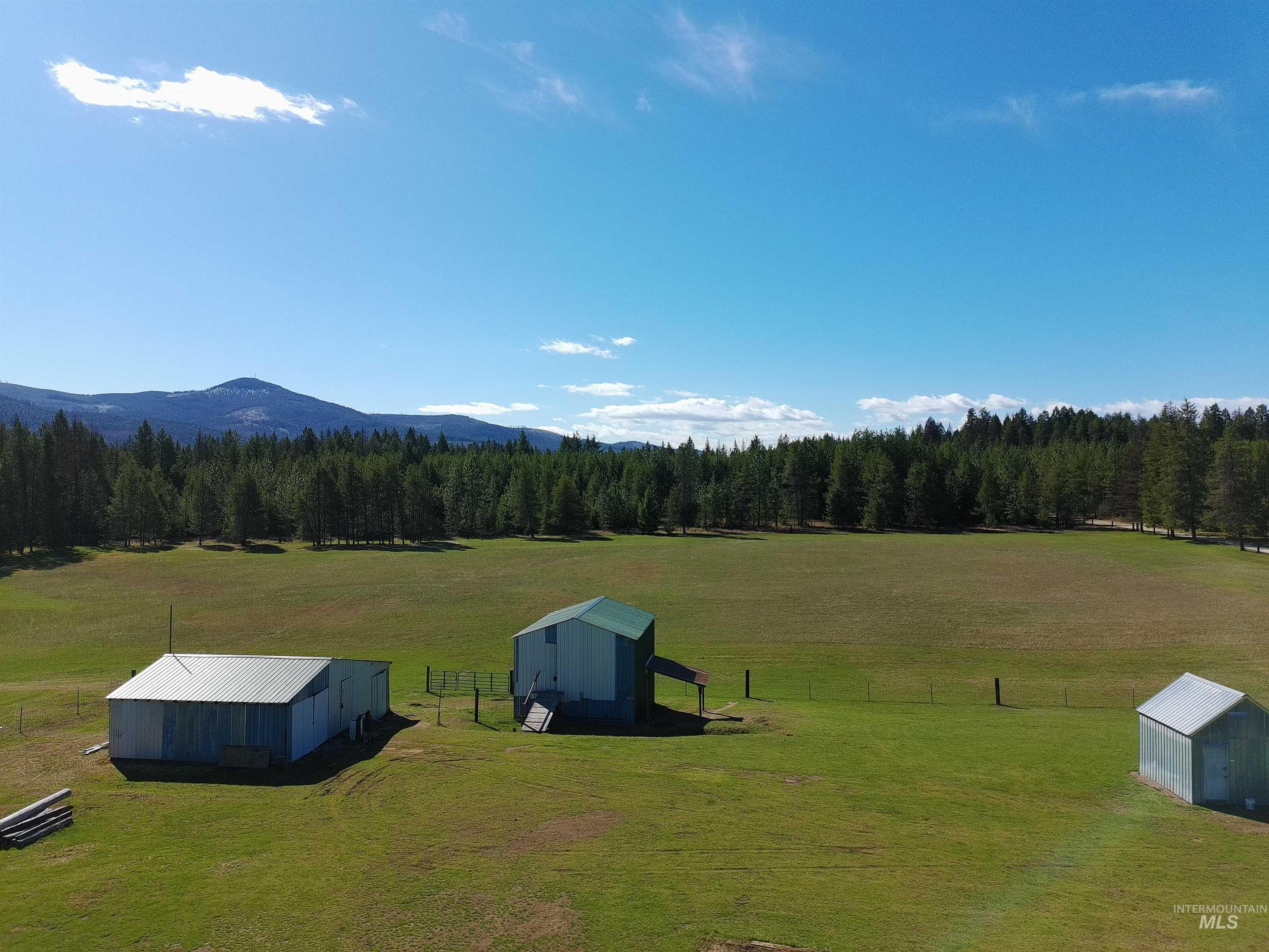 509 Doris, Oldtown, Idaho 83822, 2 Bedrooms, 2 Bathrooms, Residential For Sale, Price $450,000,MLS 98982632