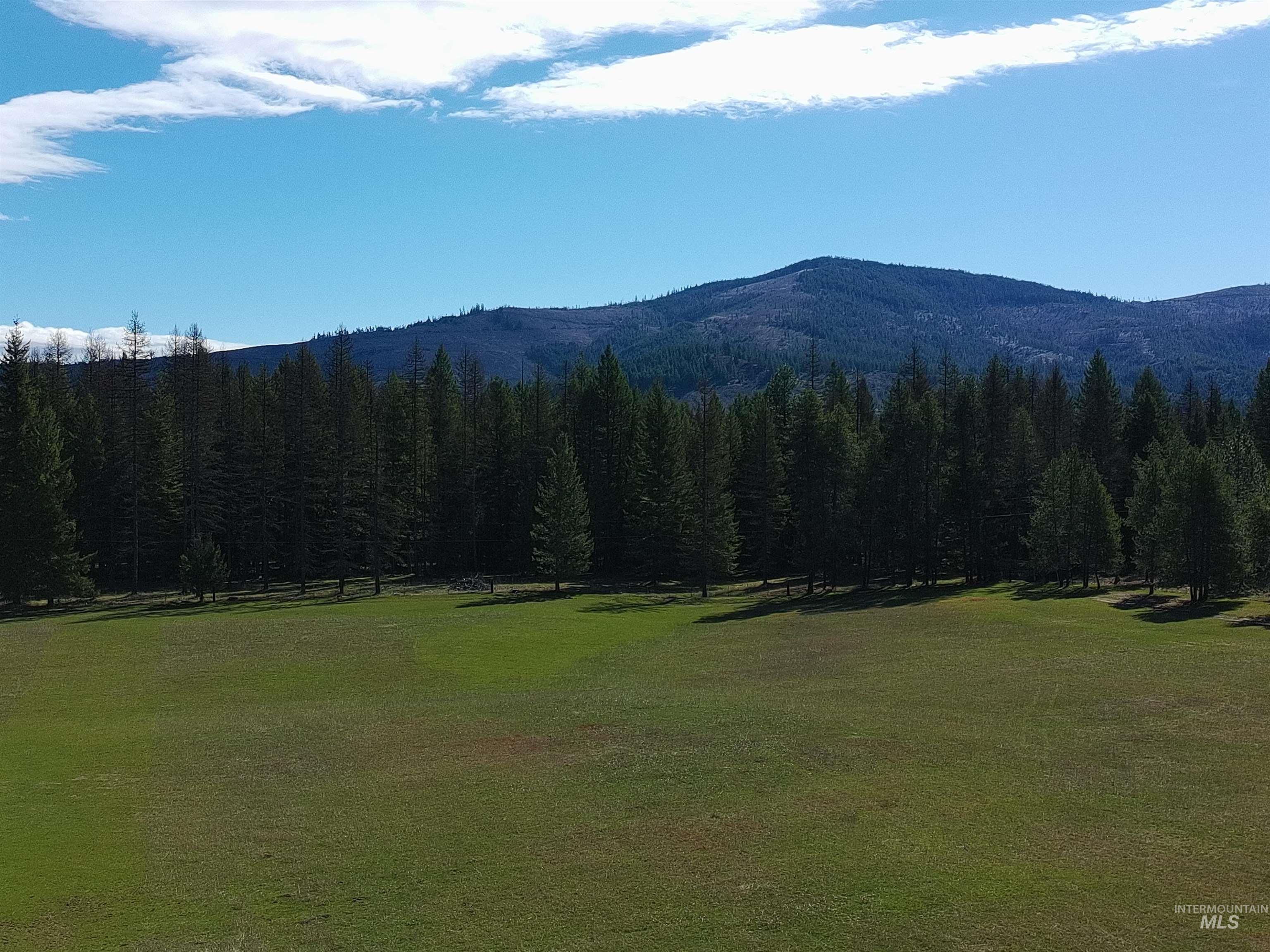 509 Doris, Oldtown, Idaho 83822, 2 Bedrooms, 2 Bathrooms, Residential For Sale, Price $450,000,MLS 98982632